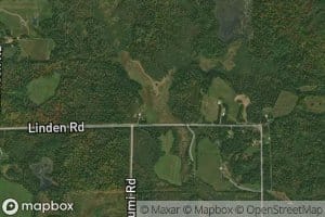 Alcohol Creek