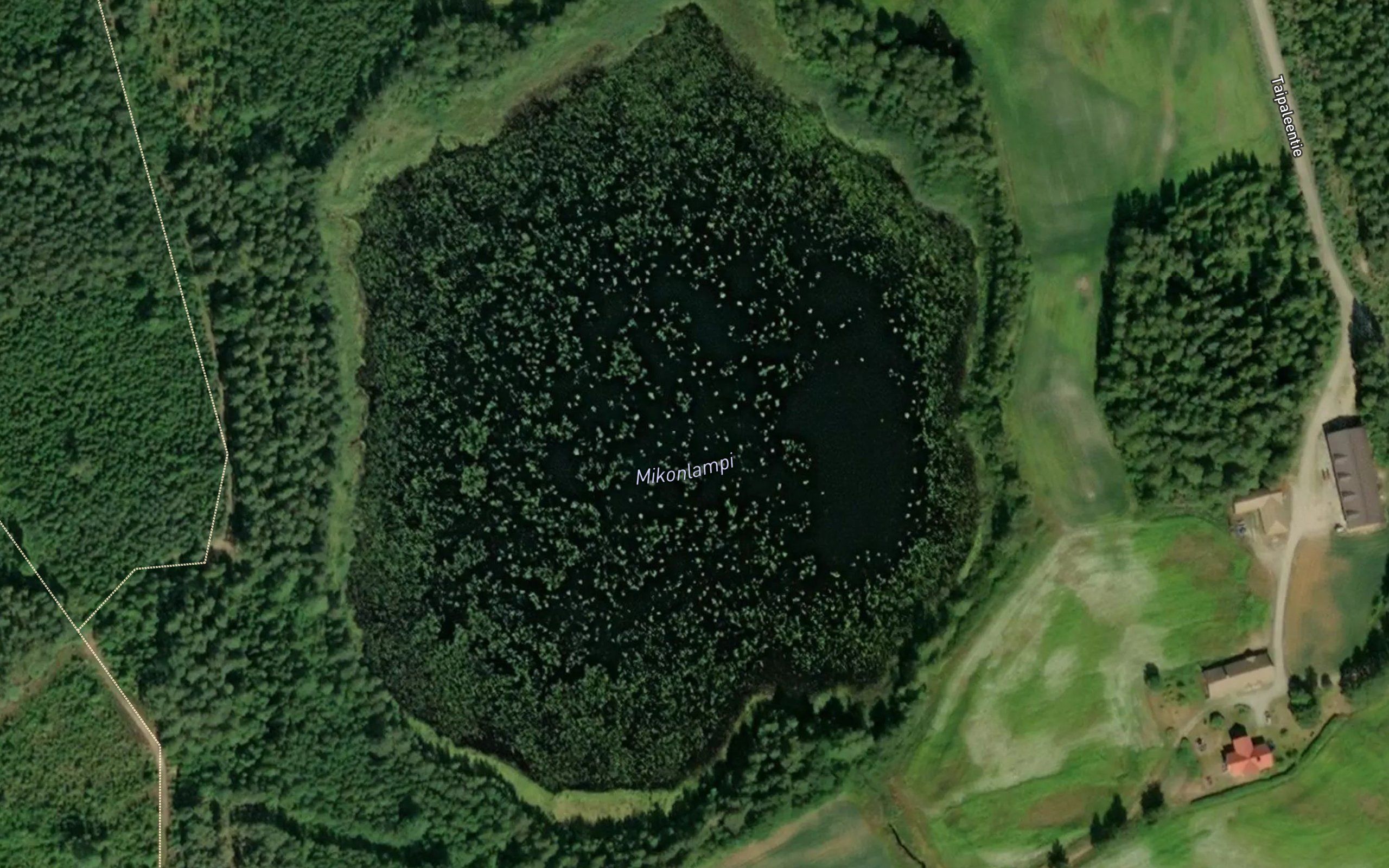 Mikonlampi