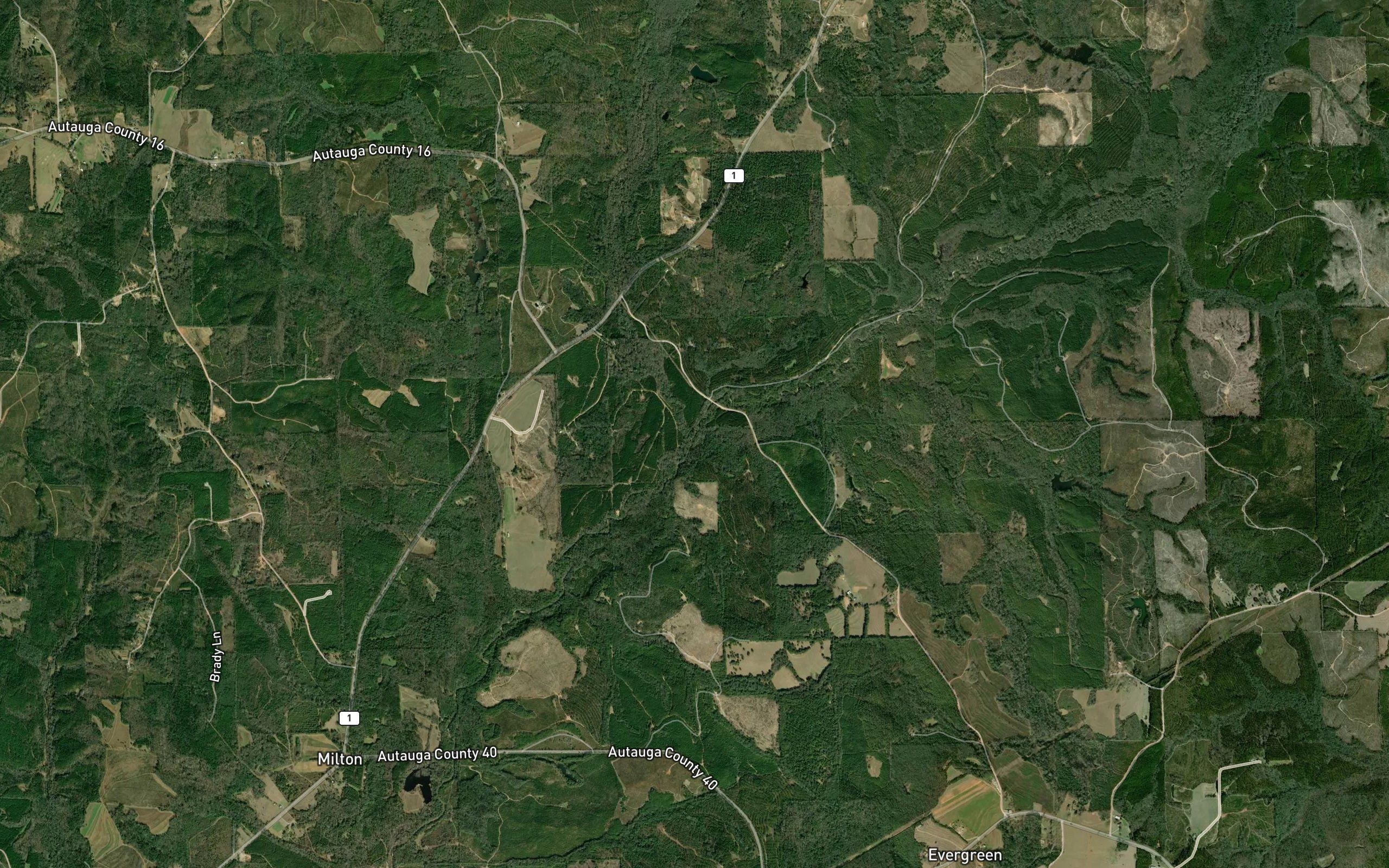 Coon Creek