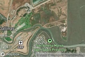 South Fork Gallinas Creek