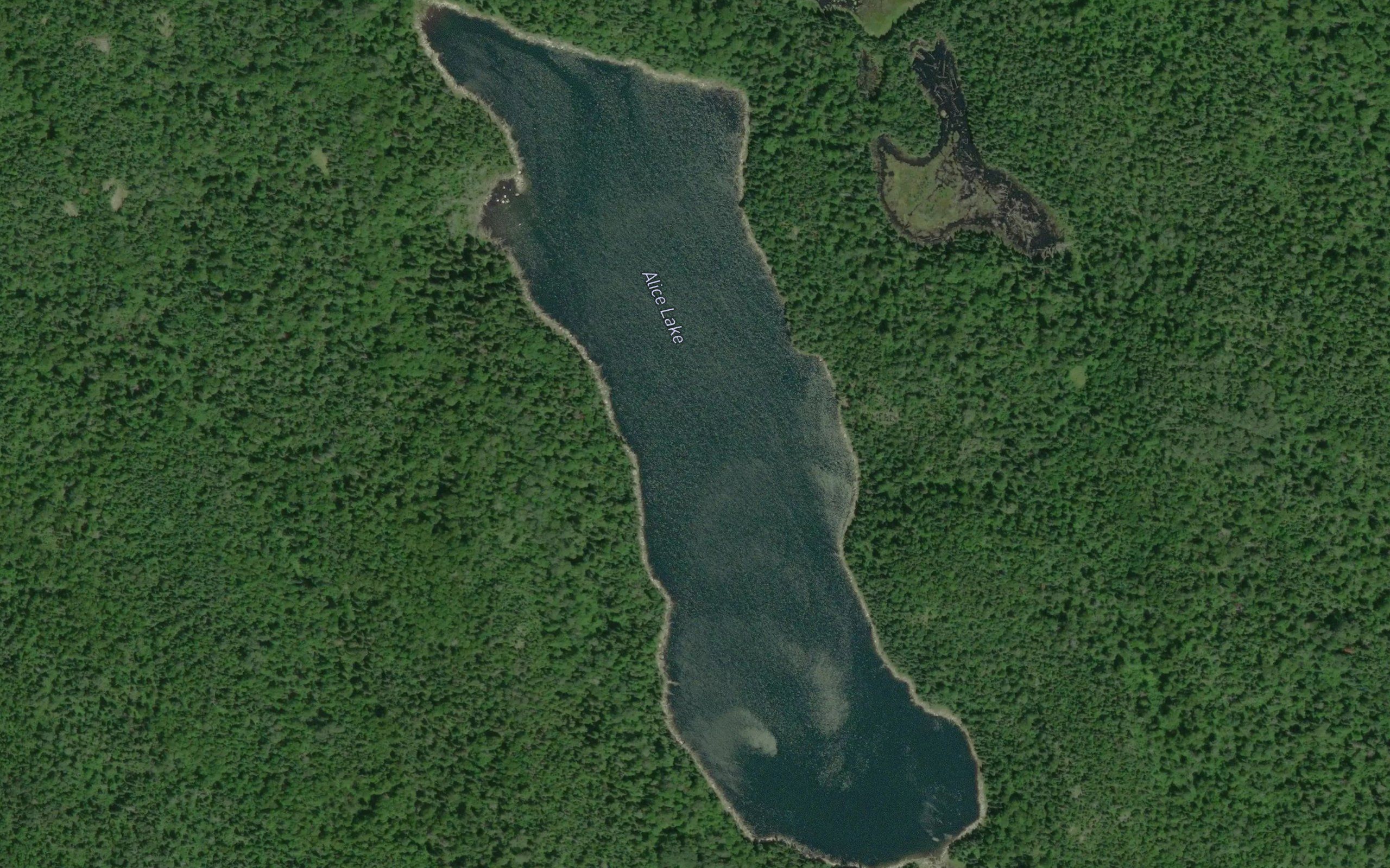 Alice Lake