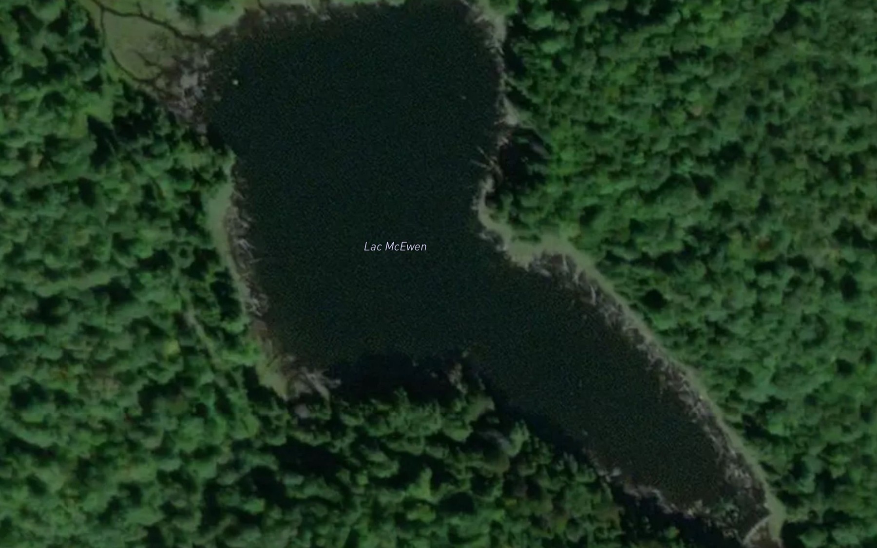 Satellite map of the Lac McEwen