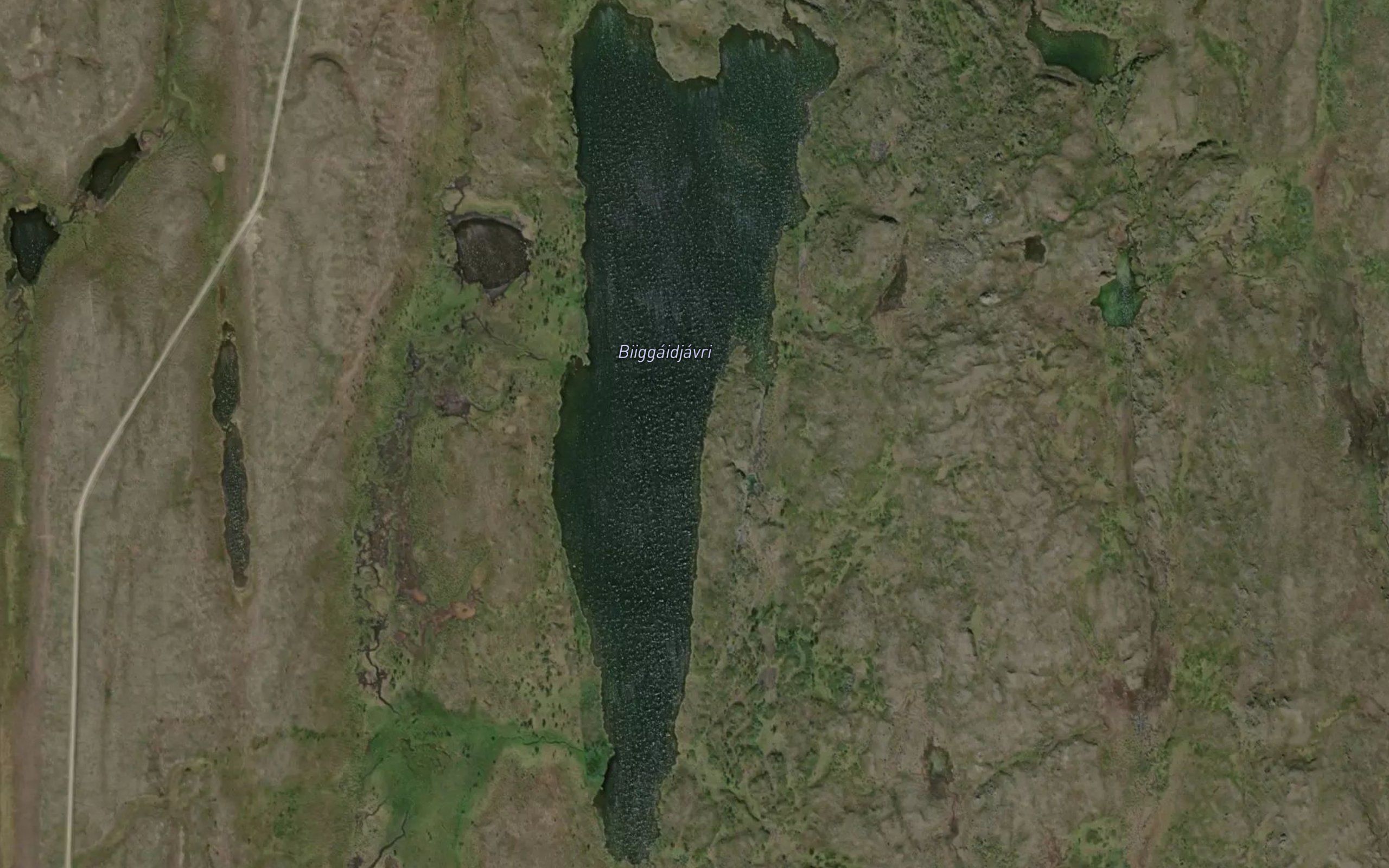 Biigaidjavri