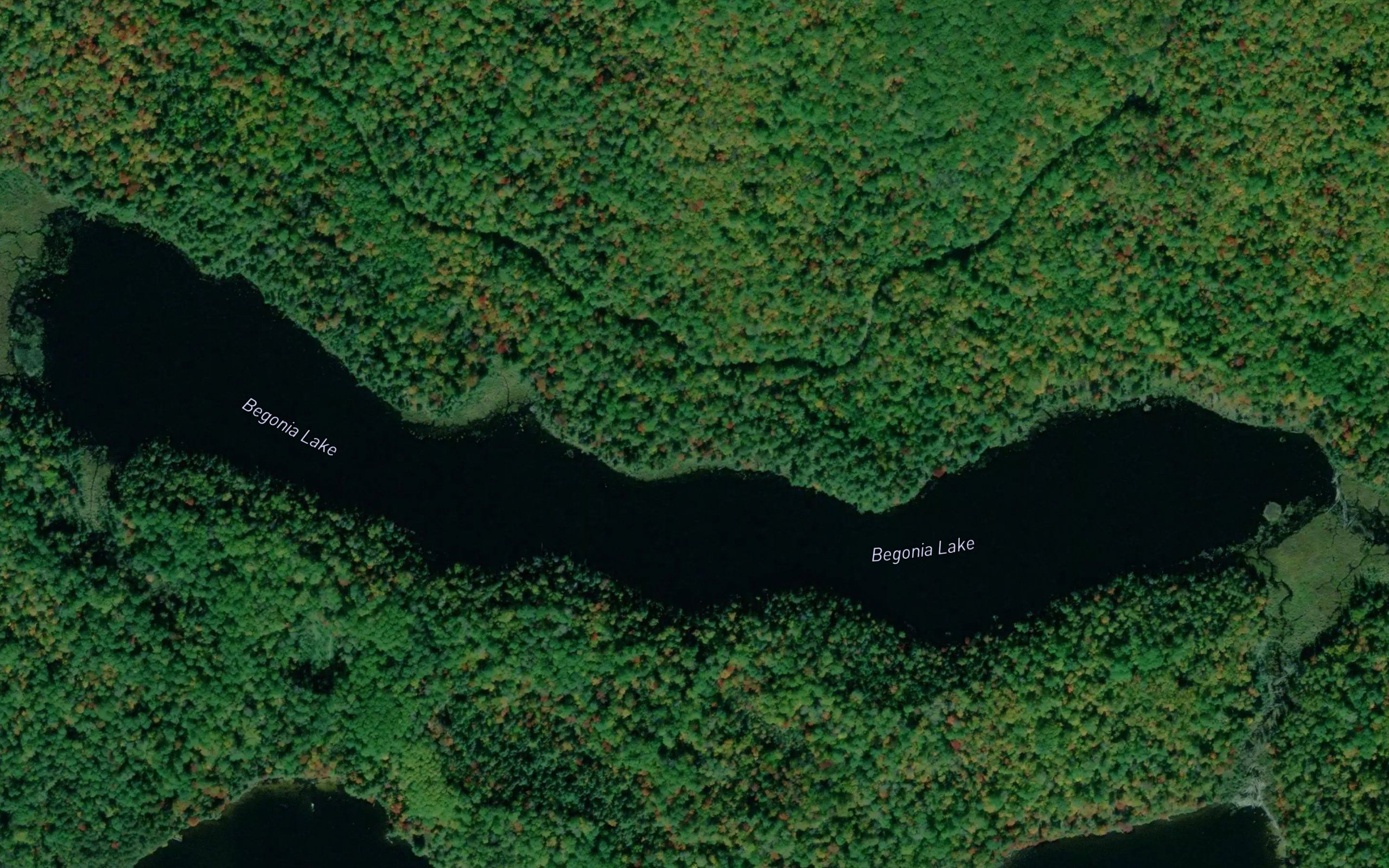 Begonia Lake