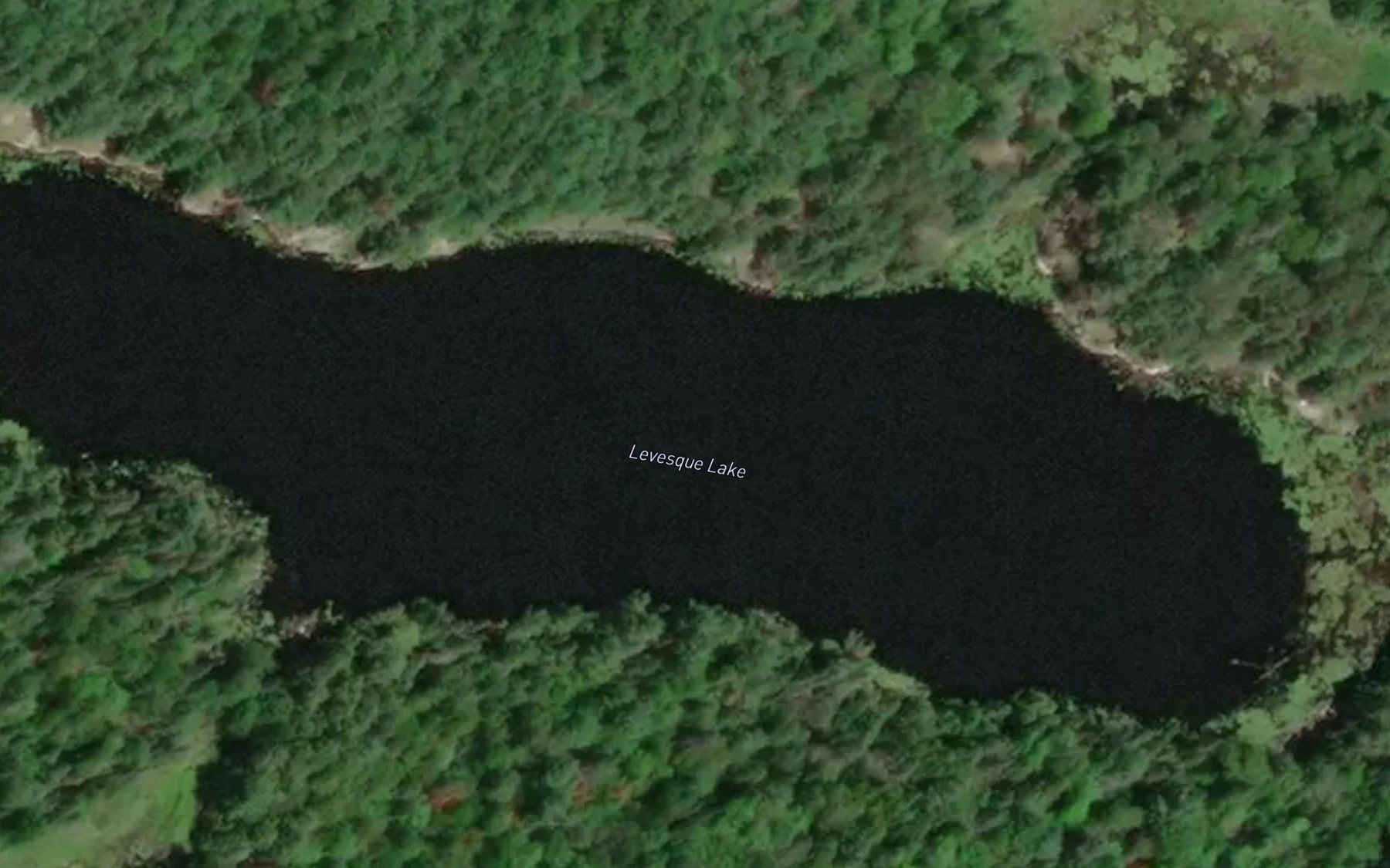 Satellite map of the Levesque Lake