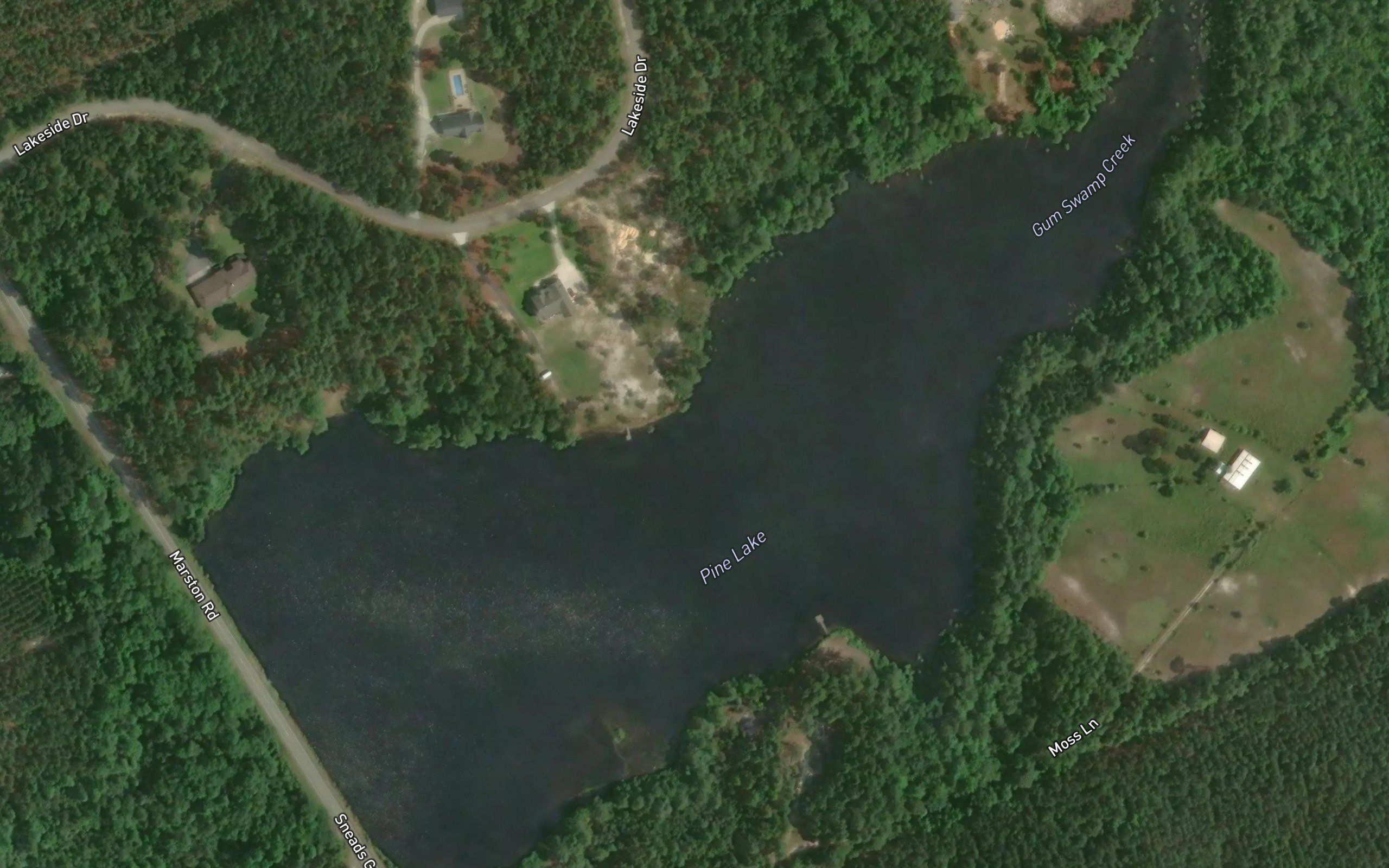 Pine Lake