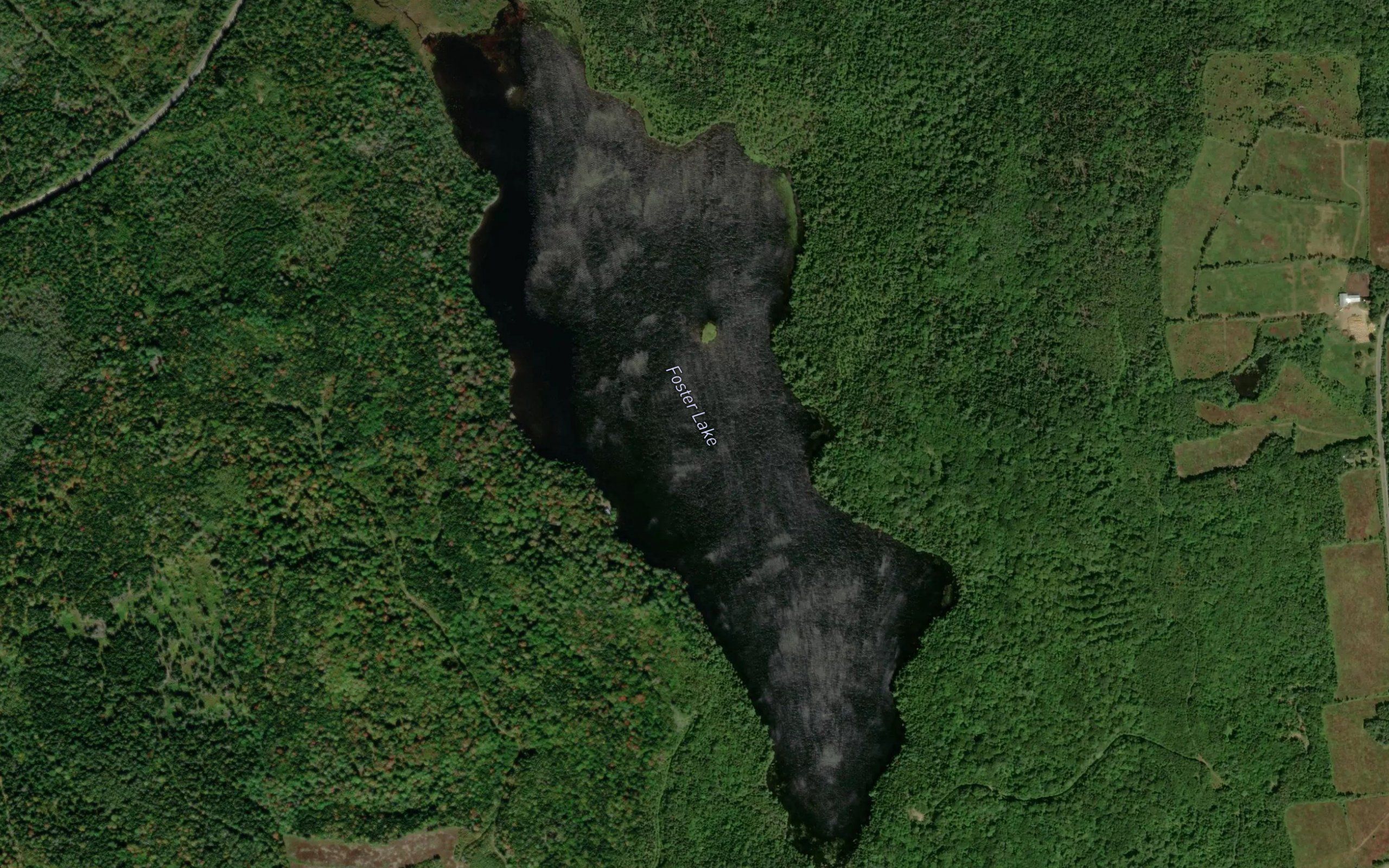 Foster Lake