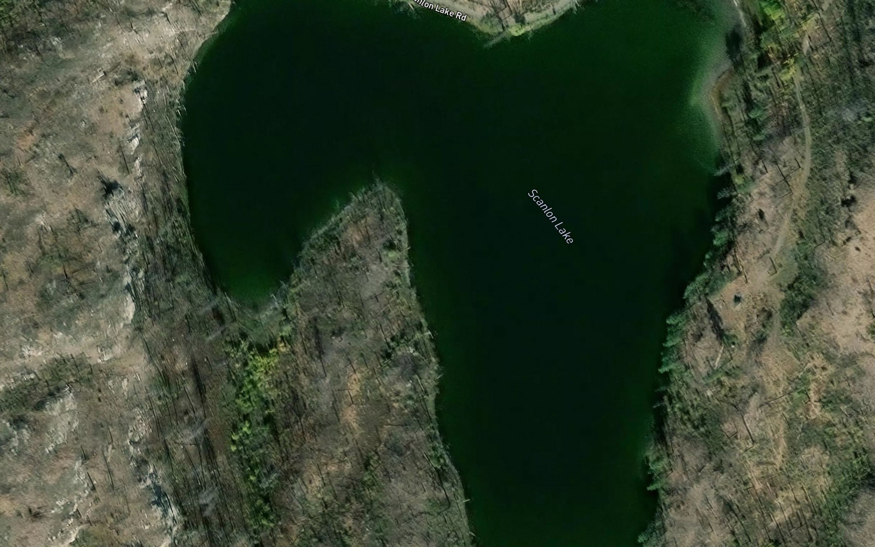 Satellite map of the Scanlon Lake