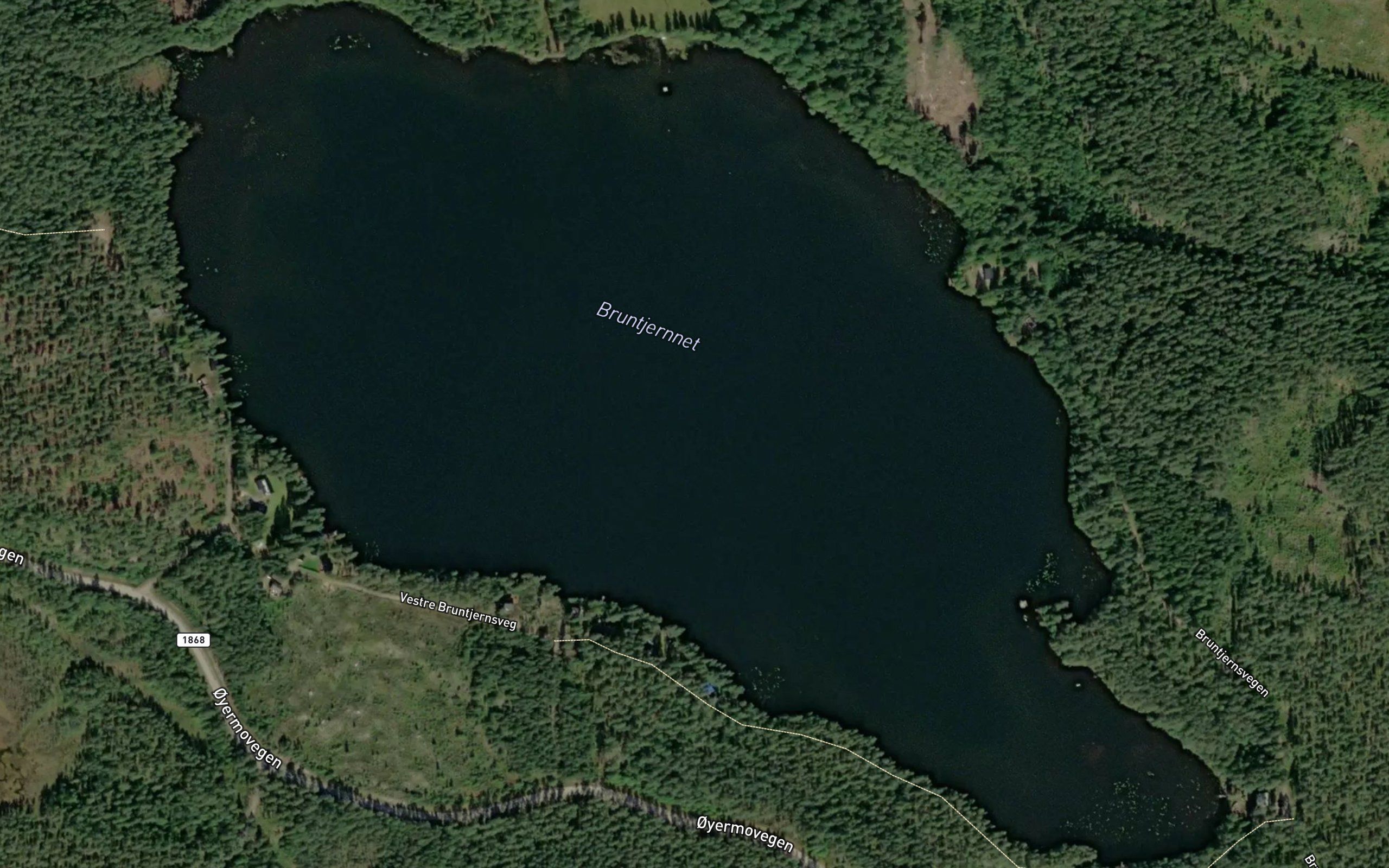 Bruntjernet