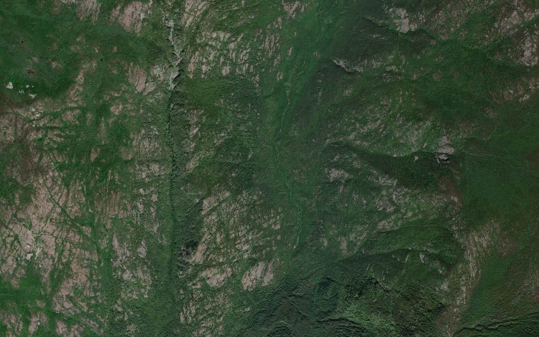 Satellite map of the Benninger Creek