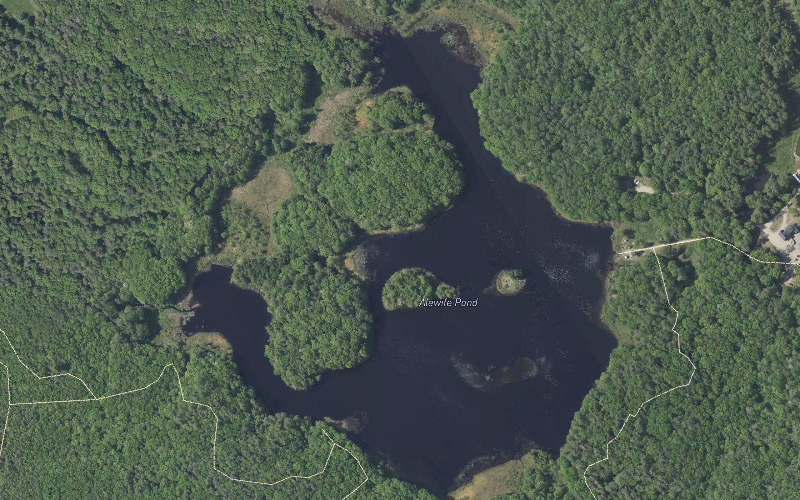 Alewife Pond