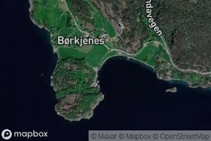 Borkjenesvik