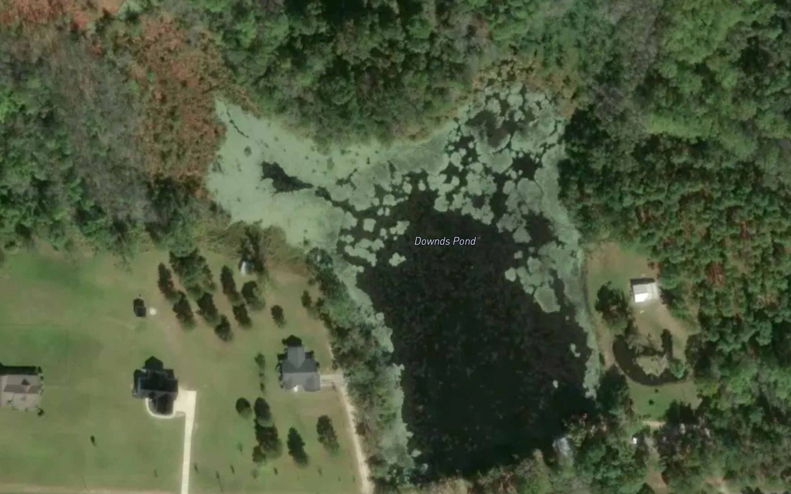 Downds Pond