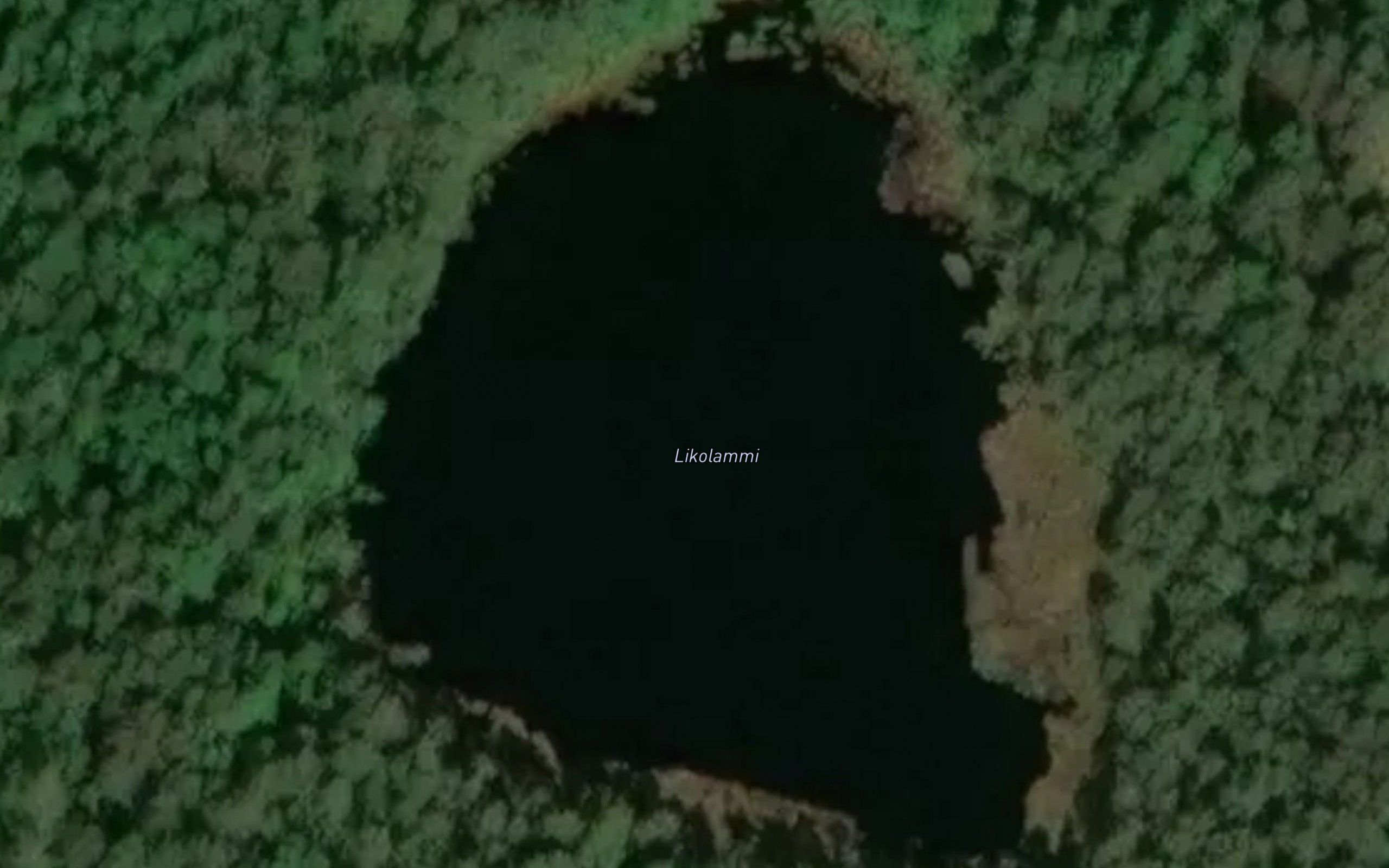 Likolammi