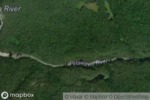 Rollway Rapids