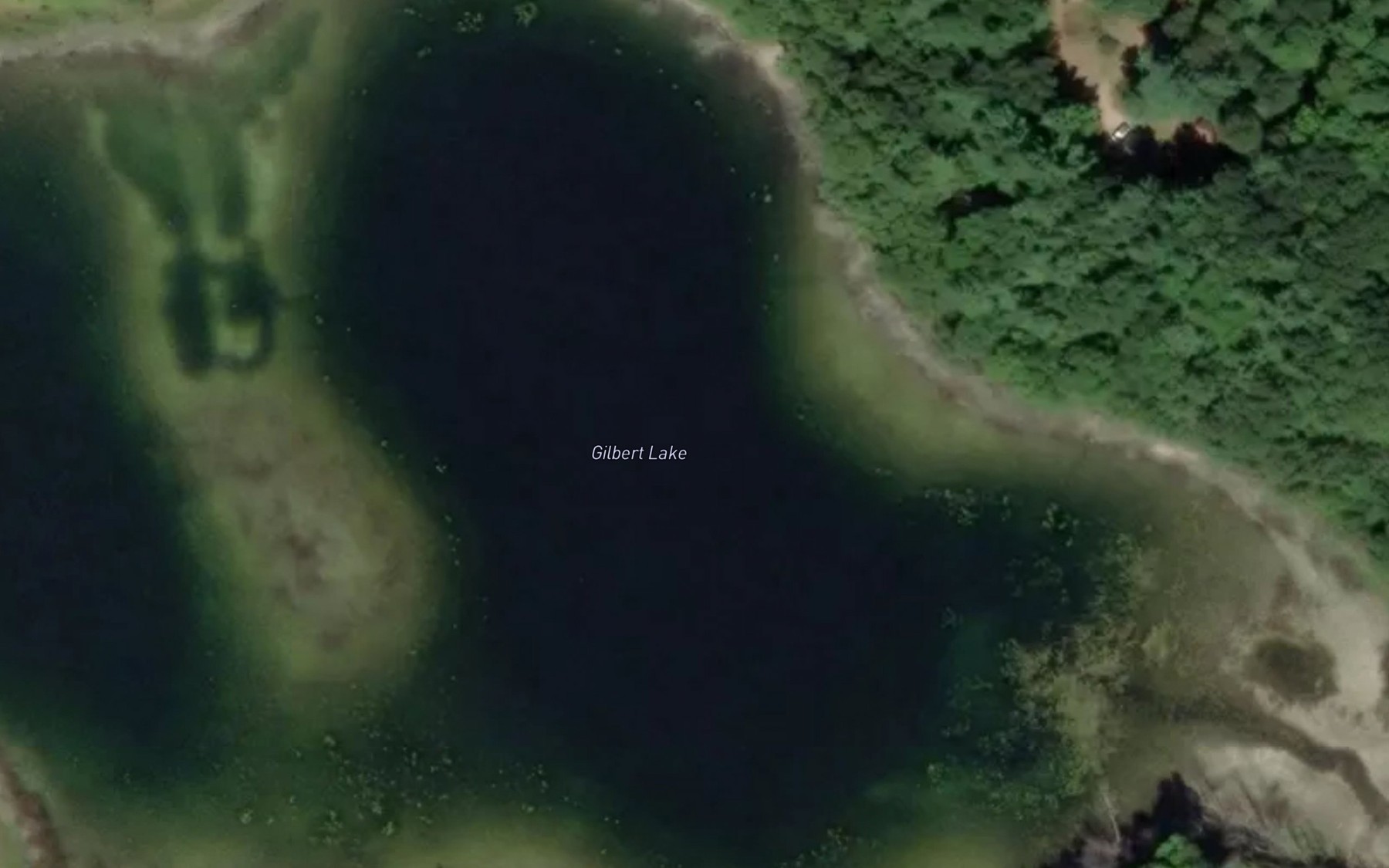 Satellite map of the Gilbert Lake