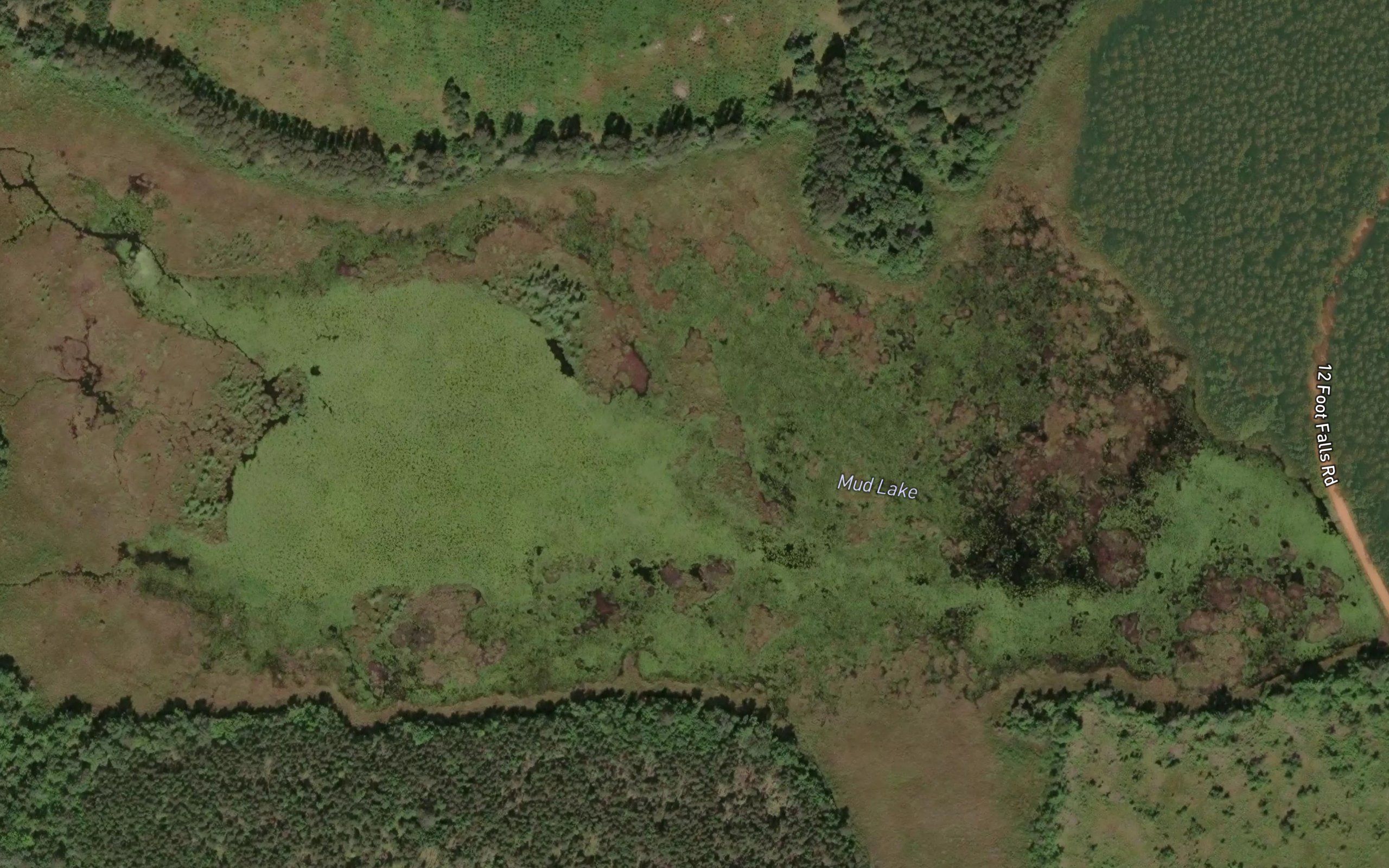 Mud Lake