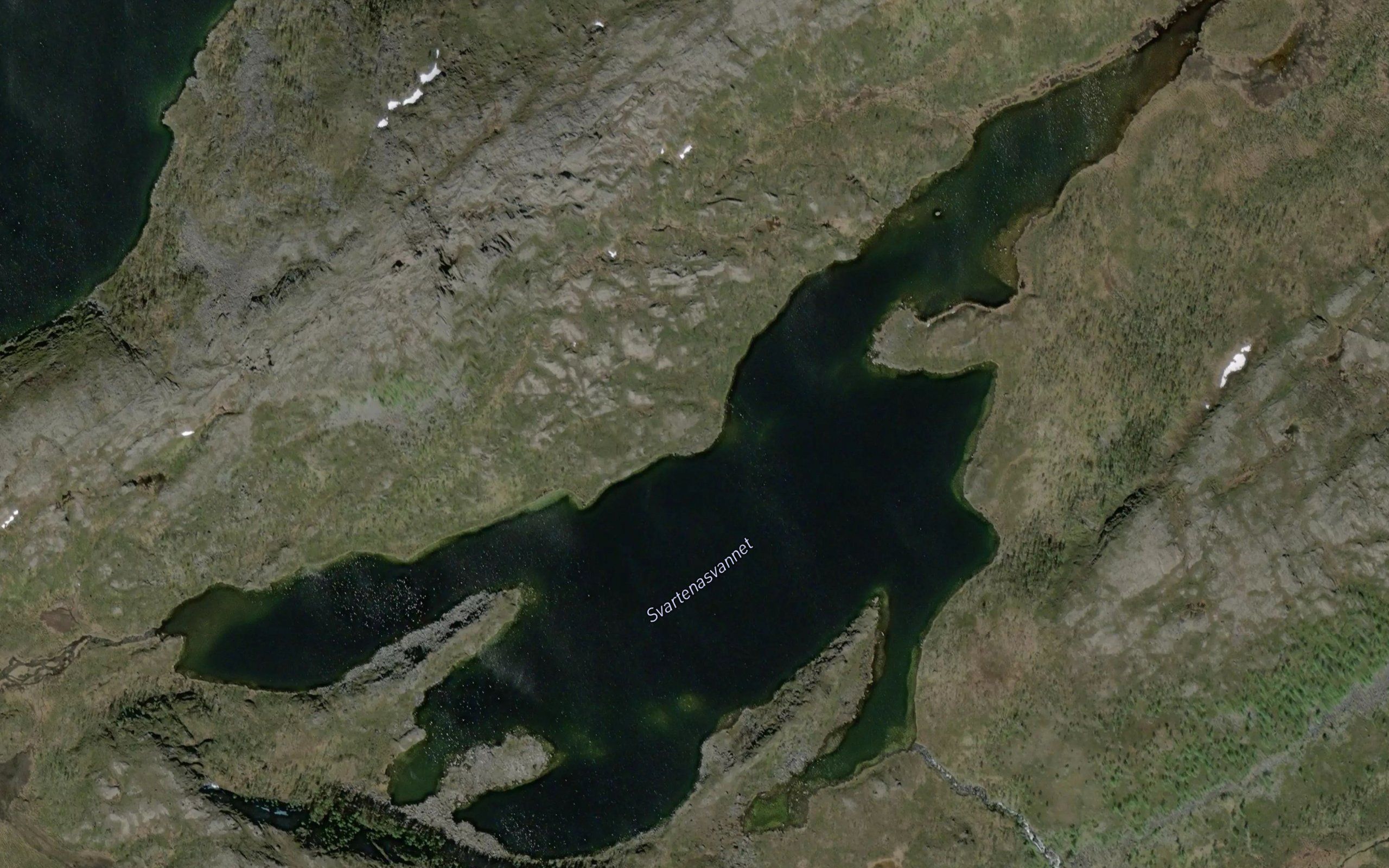 Svartenasvatnet