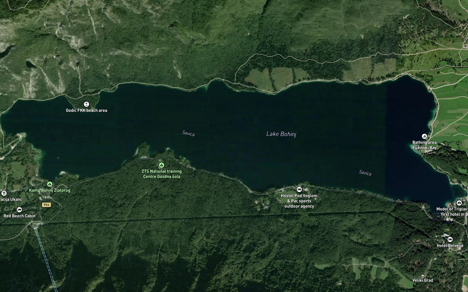 Satellite map of the Bohinjsko Jezero