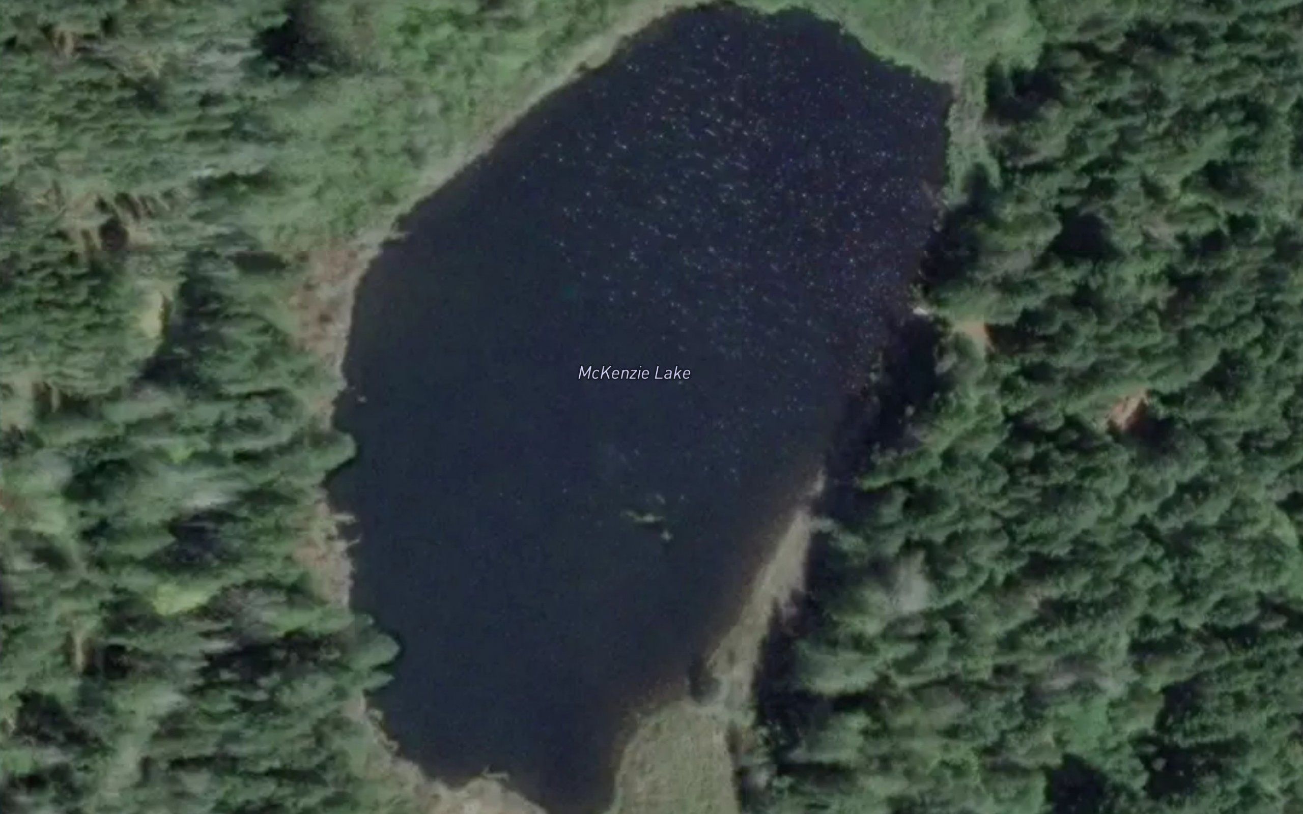 McKenzie Lake