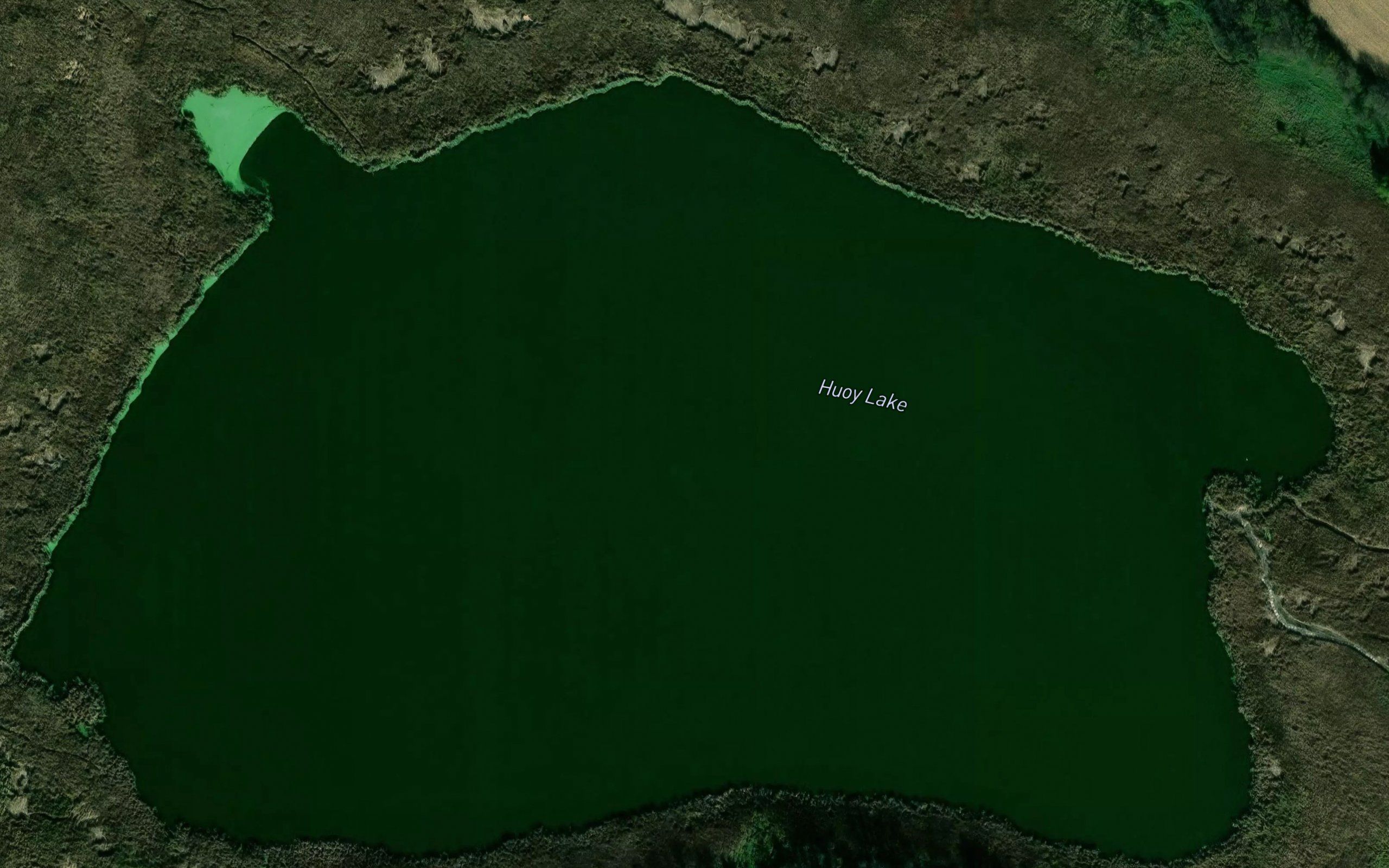 Mud Lake