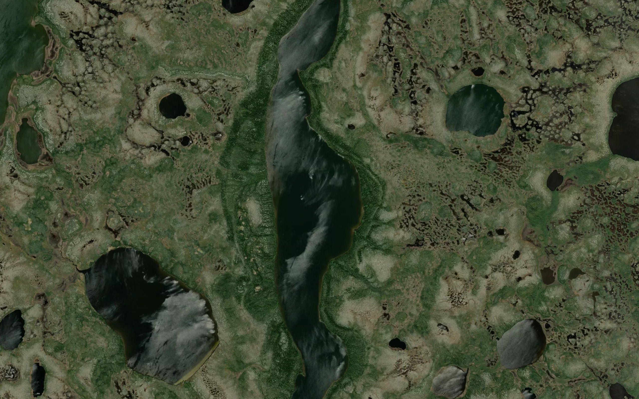 Pine Lake
