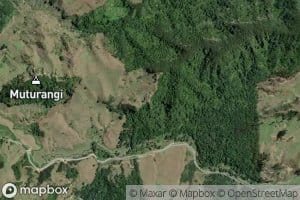 Te Teheokarukohe Stream