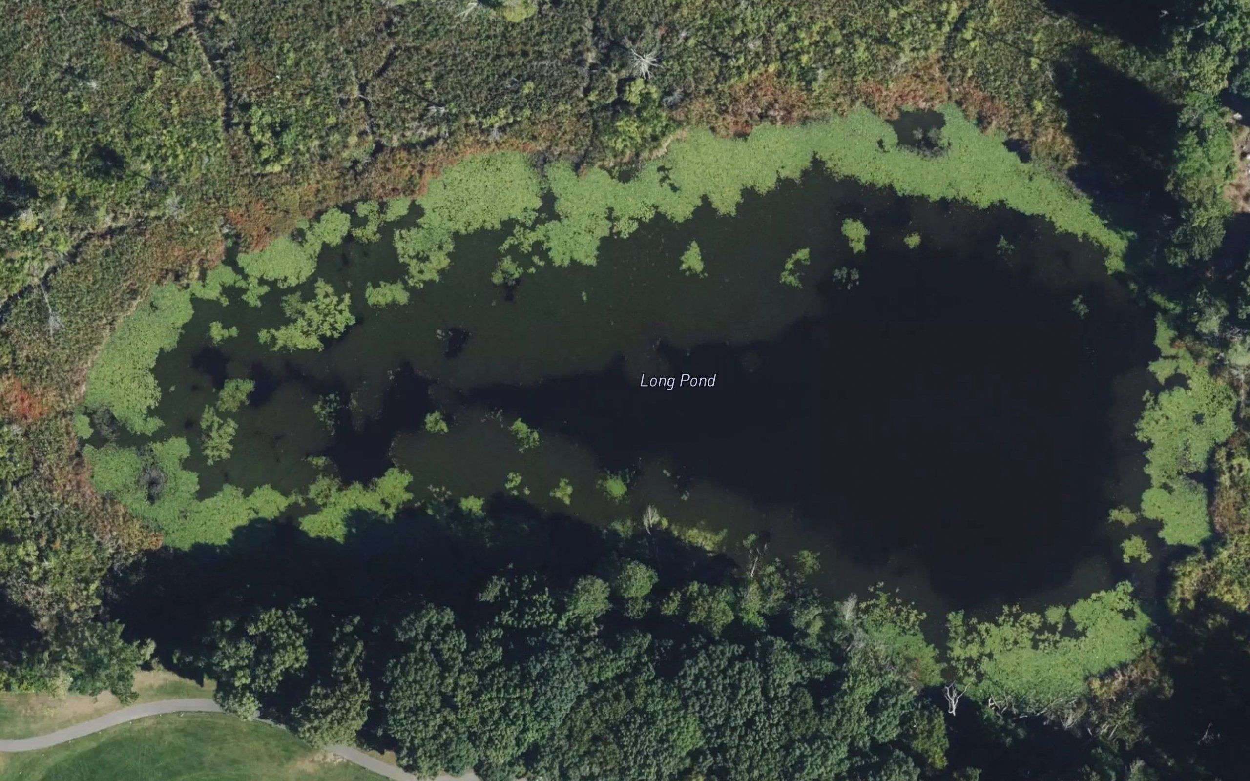 Long Pond
