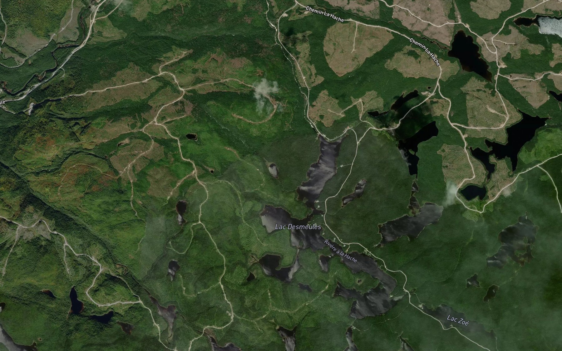 Satellite map of the Lac du Bras de Fer