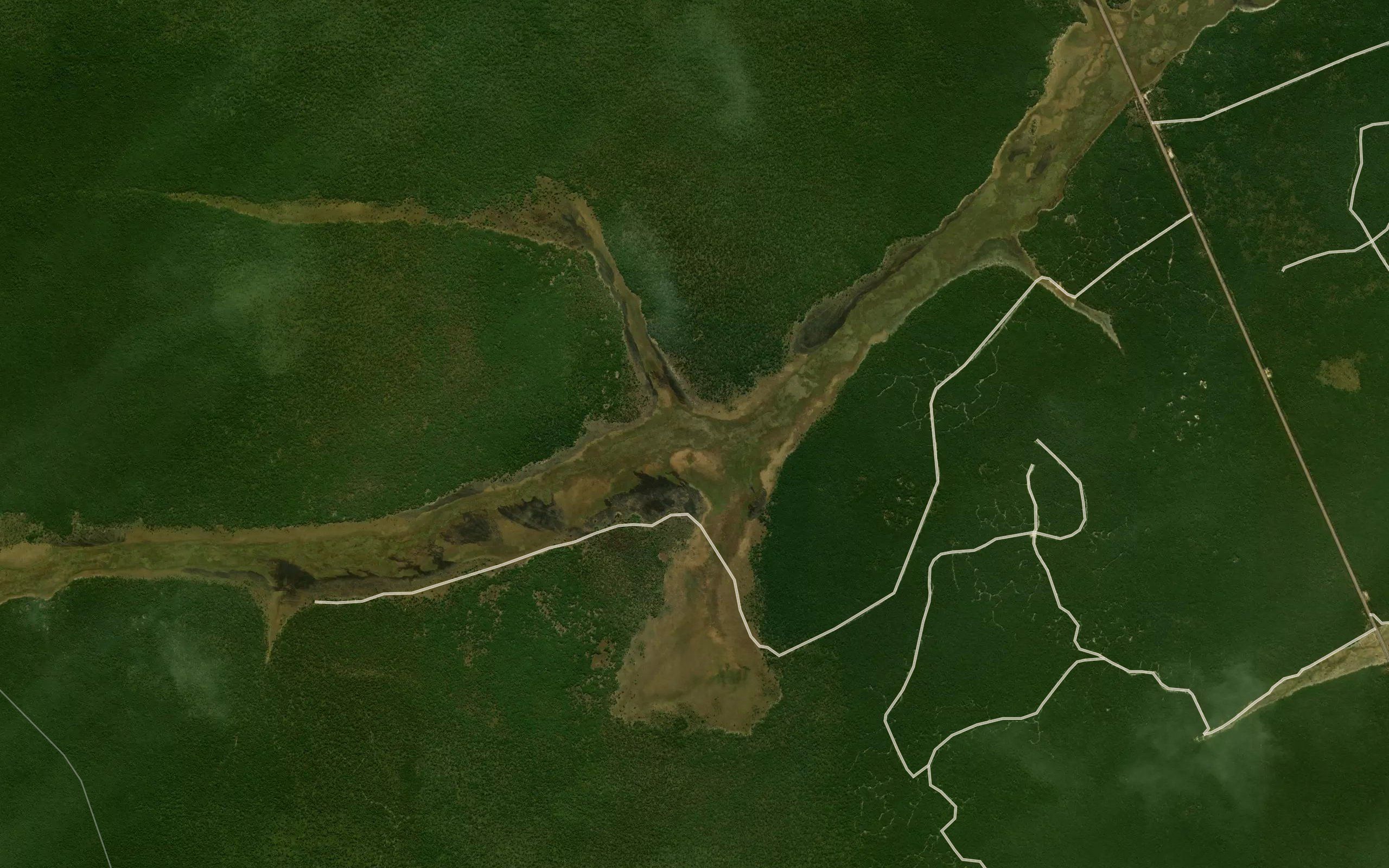 Tchene