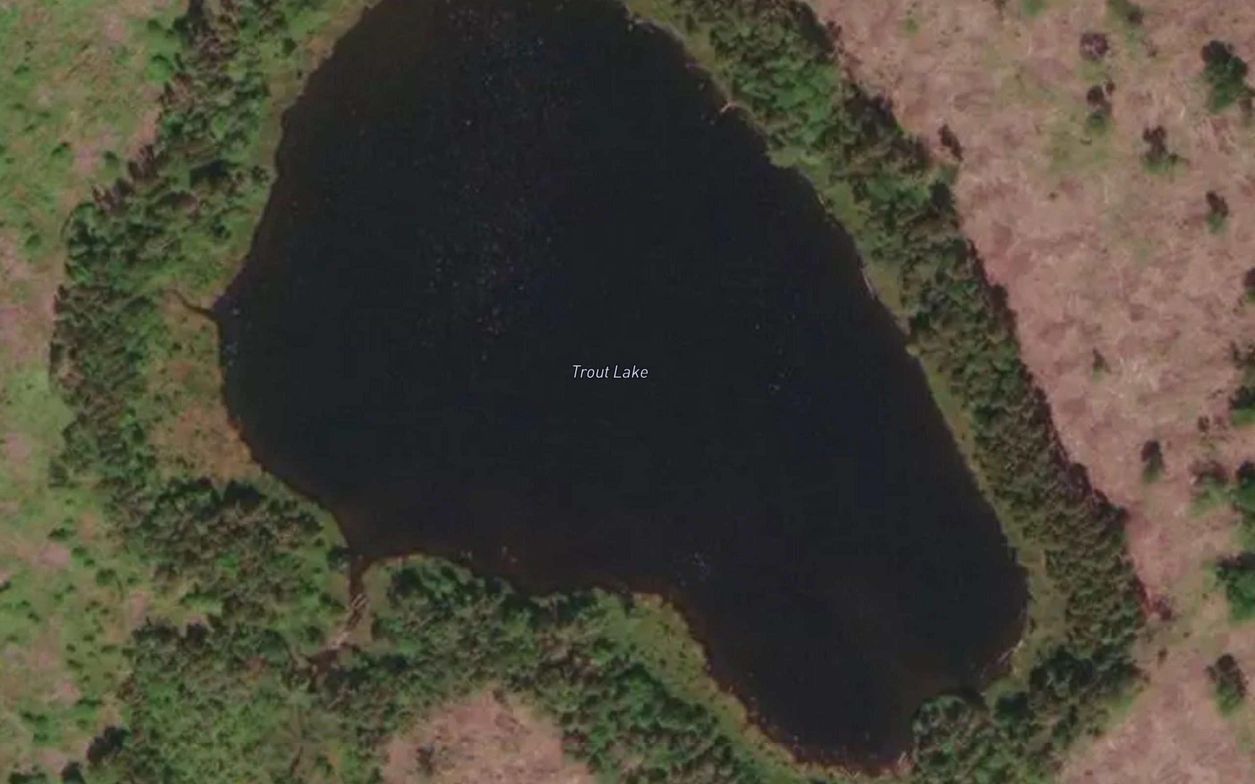 Trout Lake
