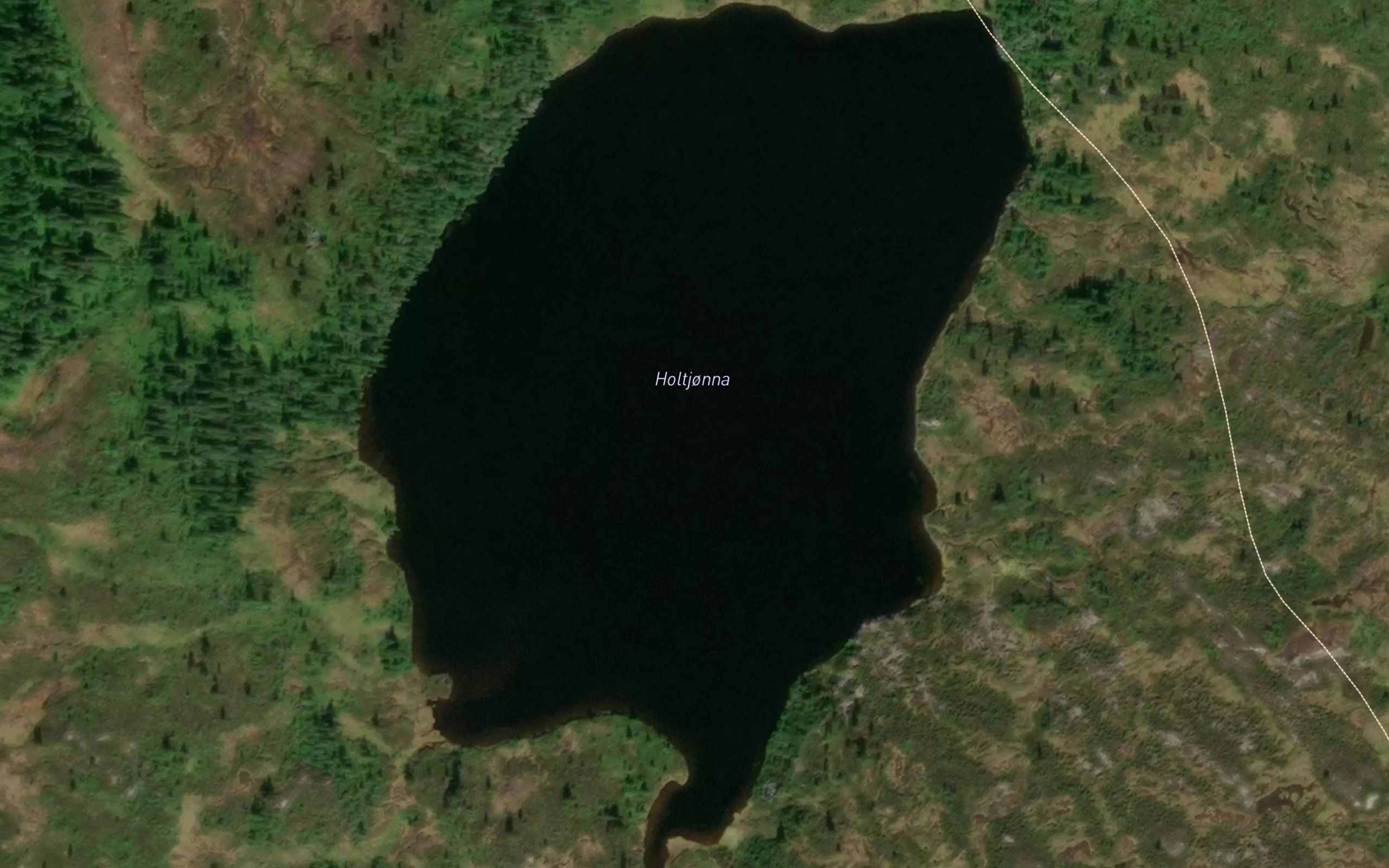 Holtjonna