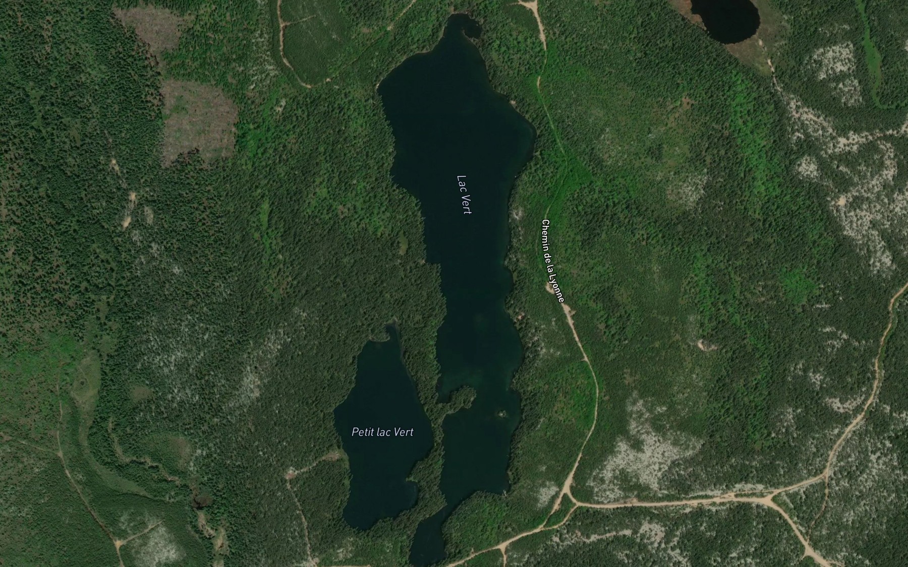 Satellite map of the Lac Vert