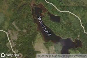 Brown Lake