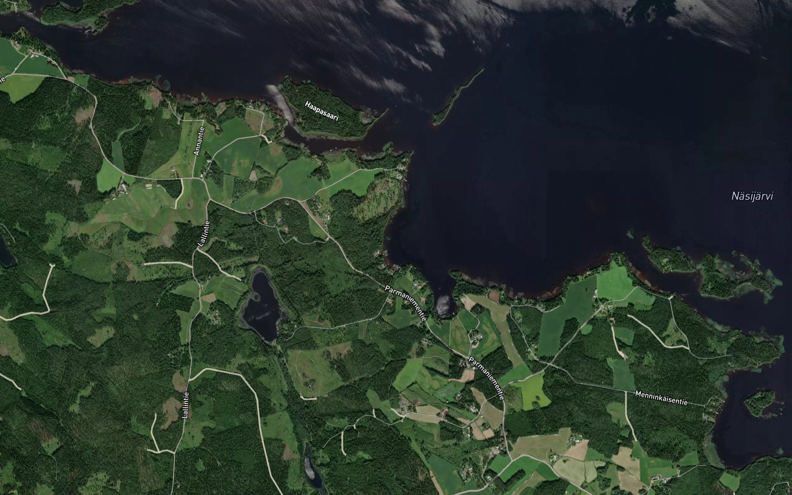 Hiedanpohja