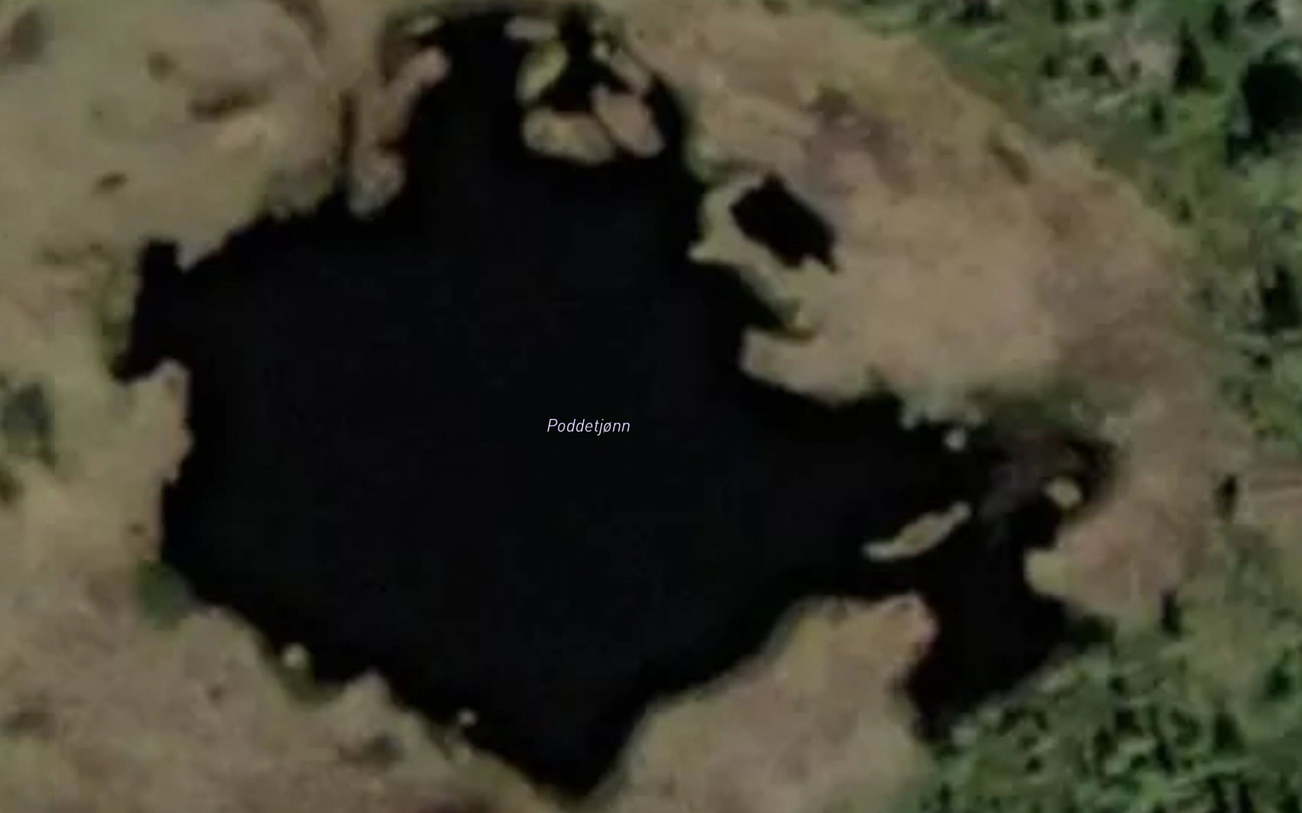 Poddetjonn