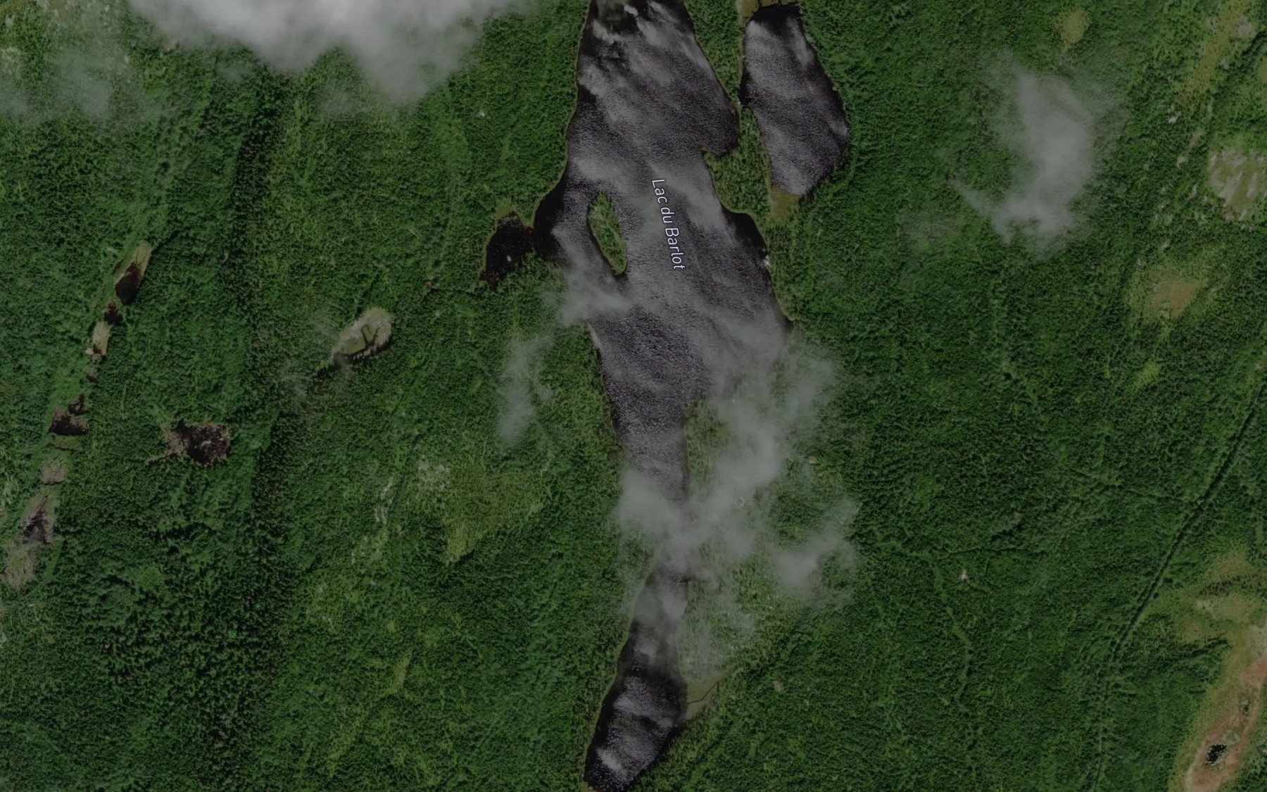 Satellite map of the Lac du Barlot