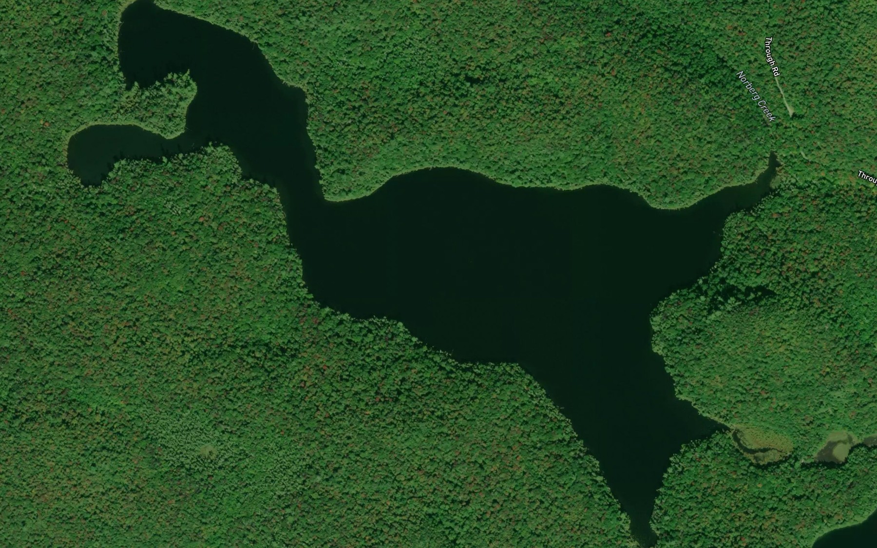 Satellite map of the Turkey Lake