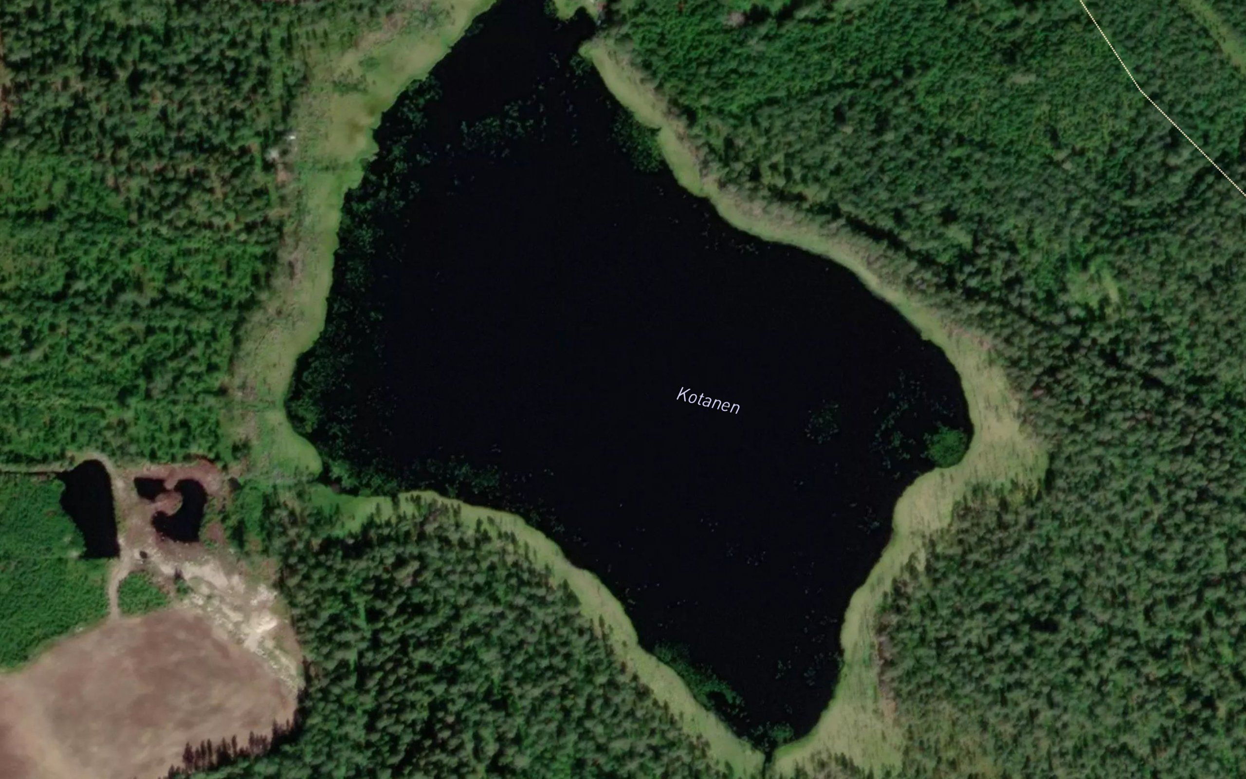 Kotanen
