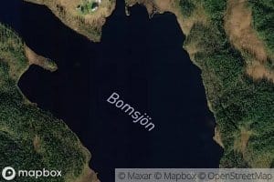 Bomsjon