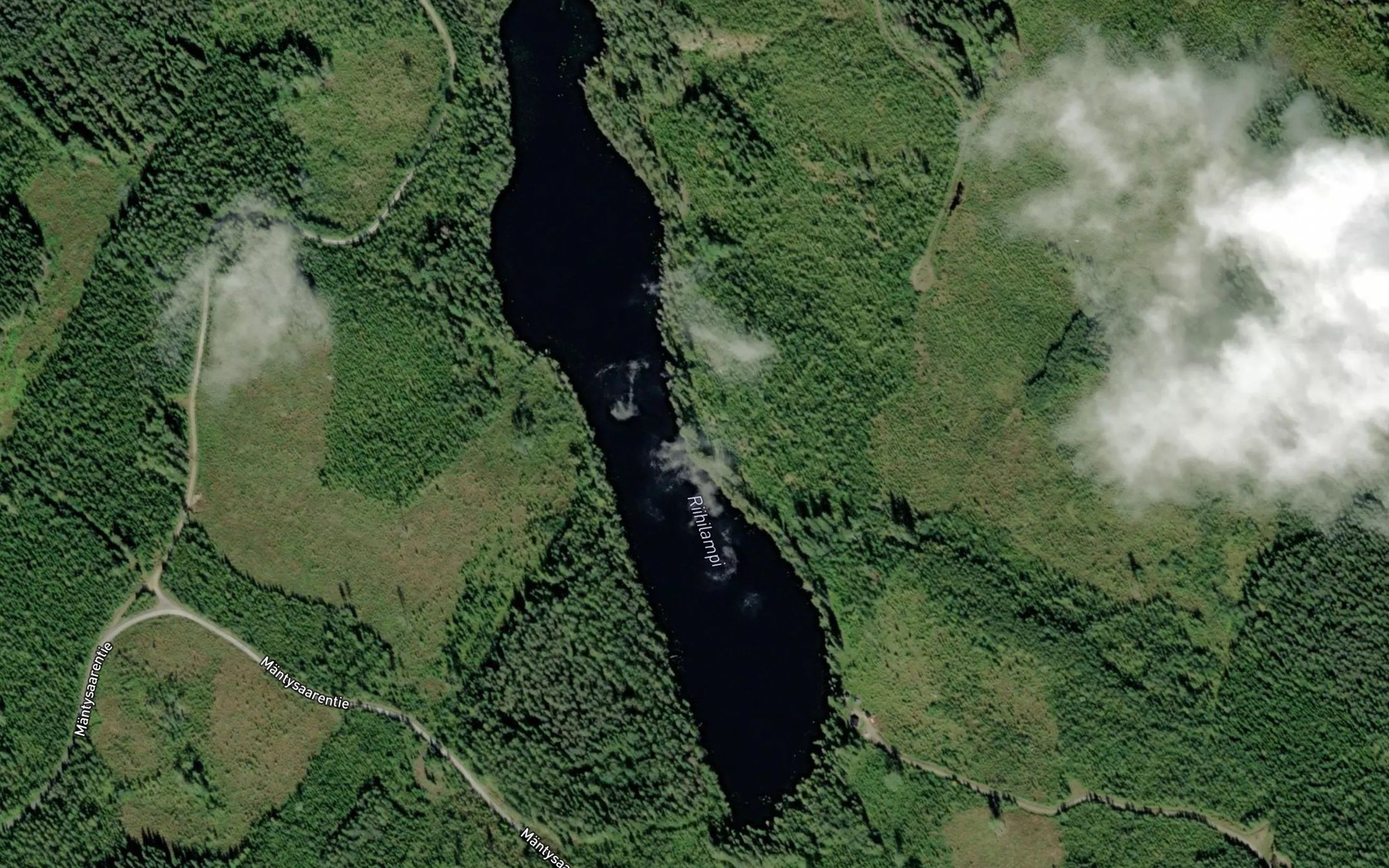 Satellite map of the Riihilampi