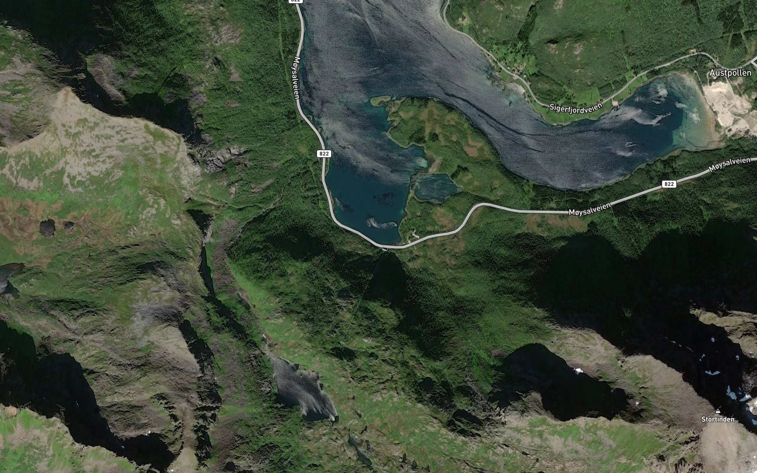 Bergbukta