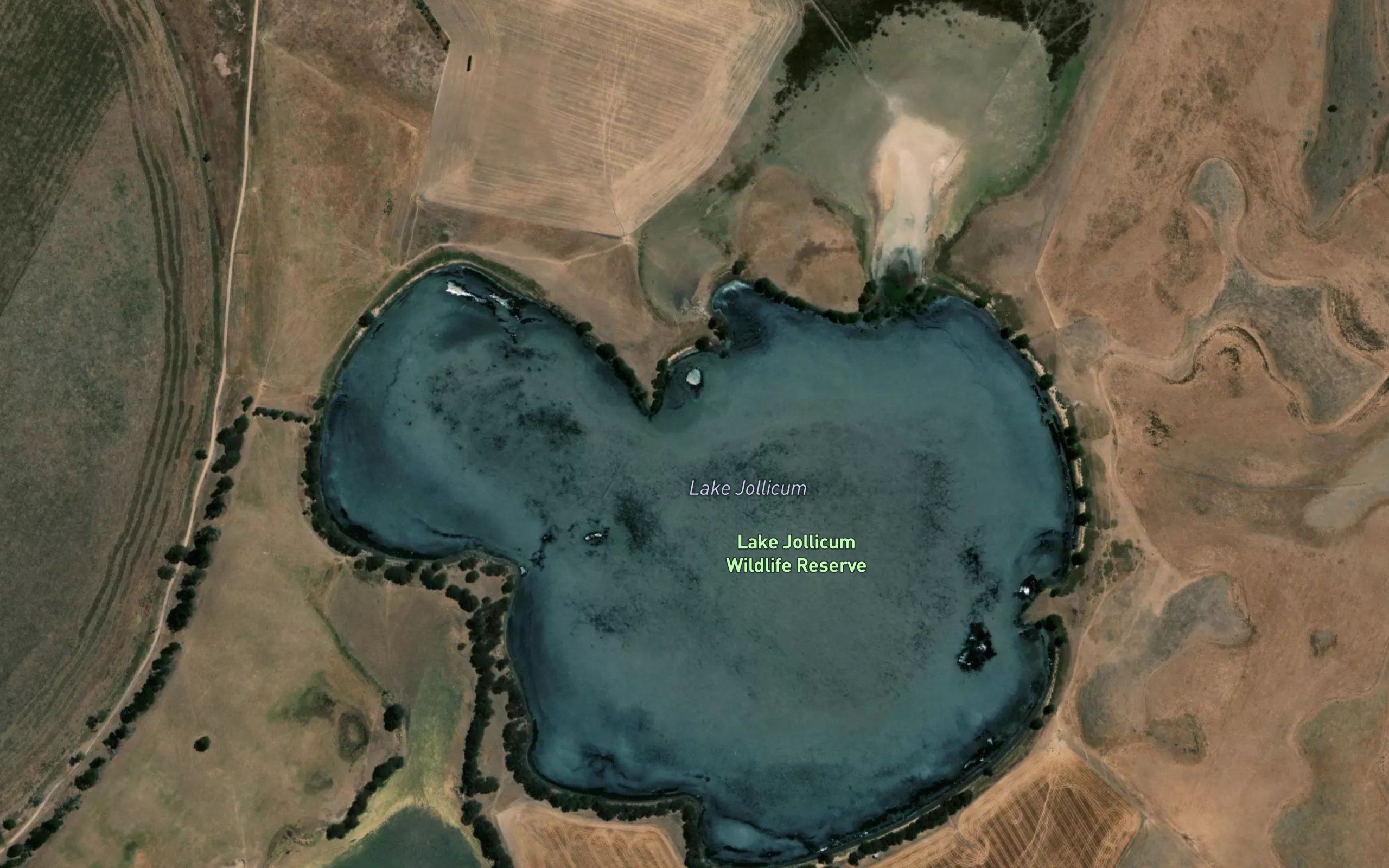 Lake Jollicum