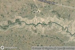 Ben Slaughter Spring