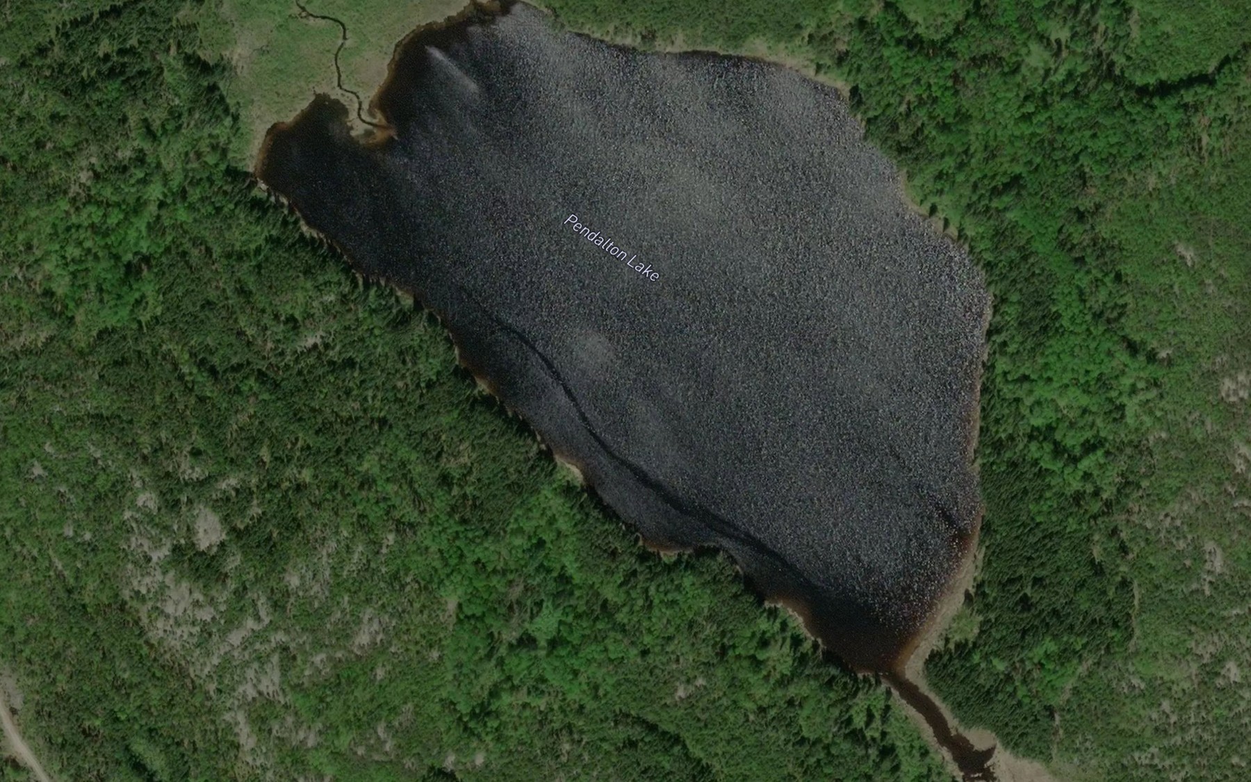 Satellite map of the Pendalton Lake