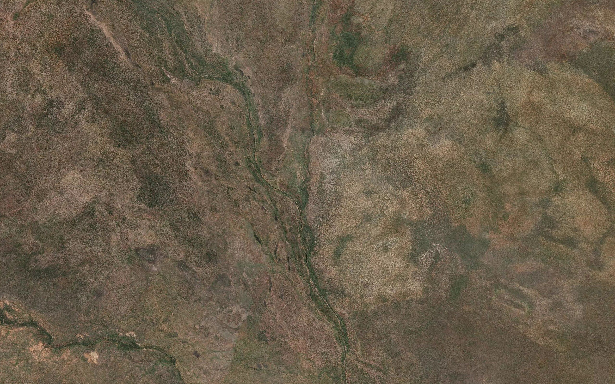 Zamia Creek