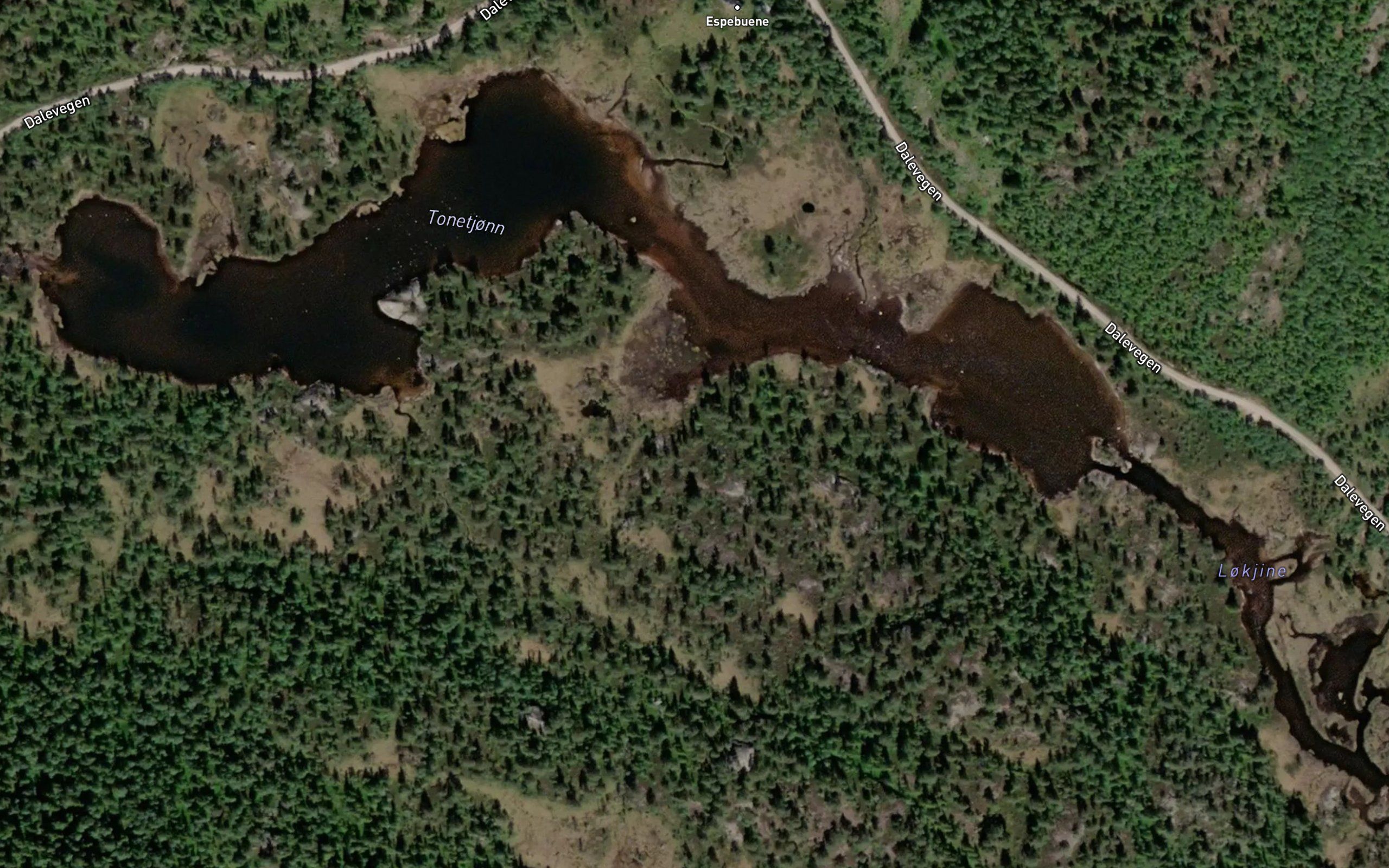 Tonetjorn