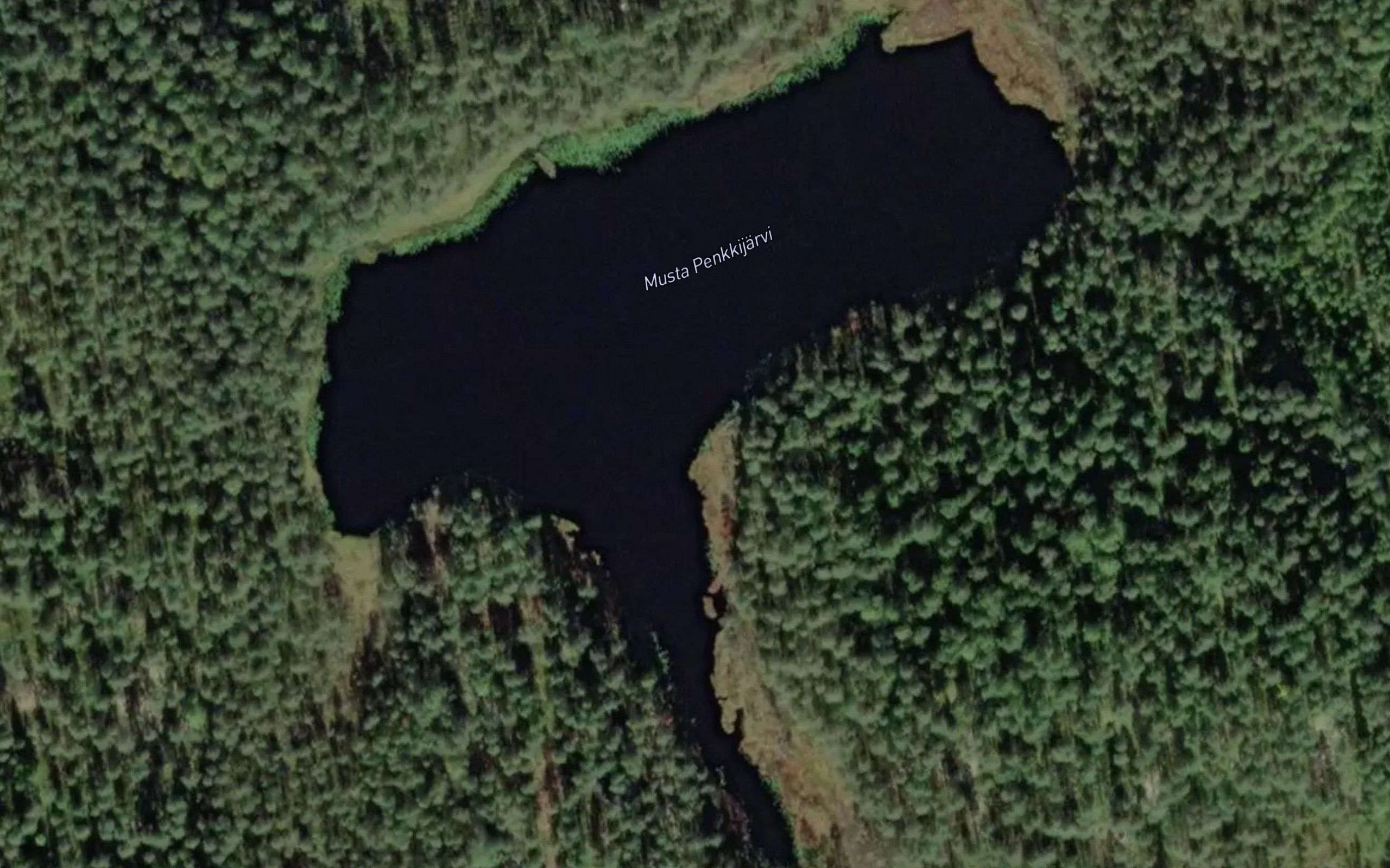 Musta Penkkijarvi