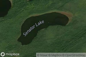 Senator Lake