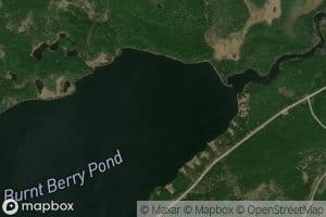 Upper Burnt Berry Pond
